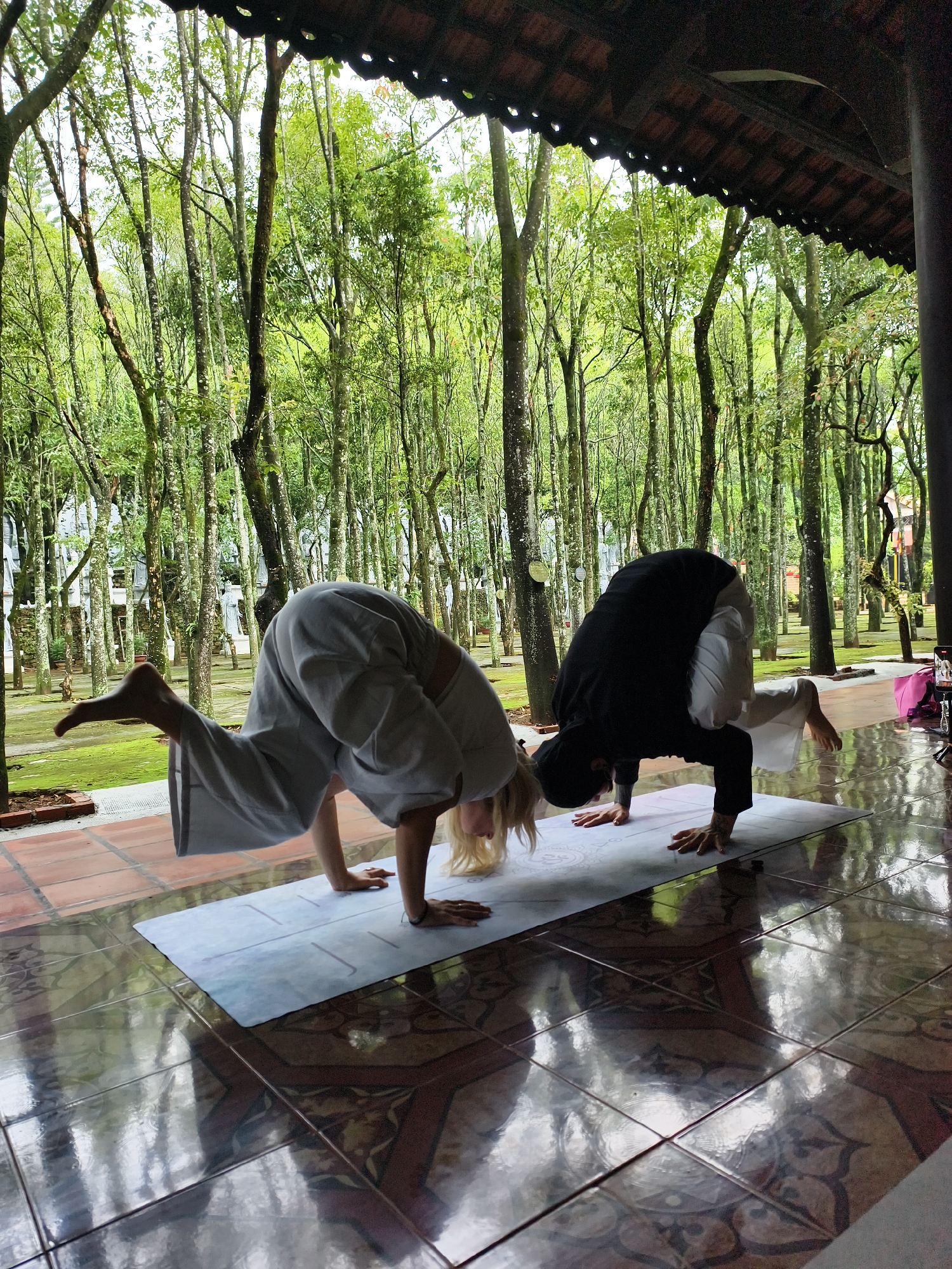 Two people are captured mid-yoga pose, balancing on their hands on a yoga mat indoors, likely in a studio or covered patio with a view of a densely wooded area. The person on the left wears light-colored, loose-fitting clothing and has blonde hair, while the person on the right is dressed in darker attire. Both are performing a variation of a handstand or arm balance. Behind them, through the open-air setting, a forest of tall, slender trees stretches into the distance. The floor has a tiled pattern, and the roof structure above suggests an open-air or semi-outdoor space. The location is in the city of Unknown, Unknown.