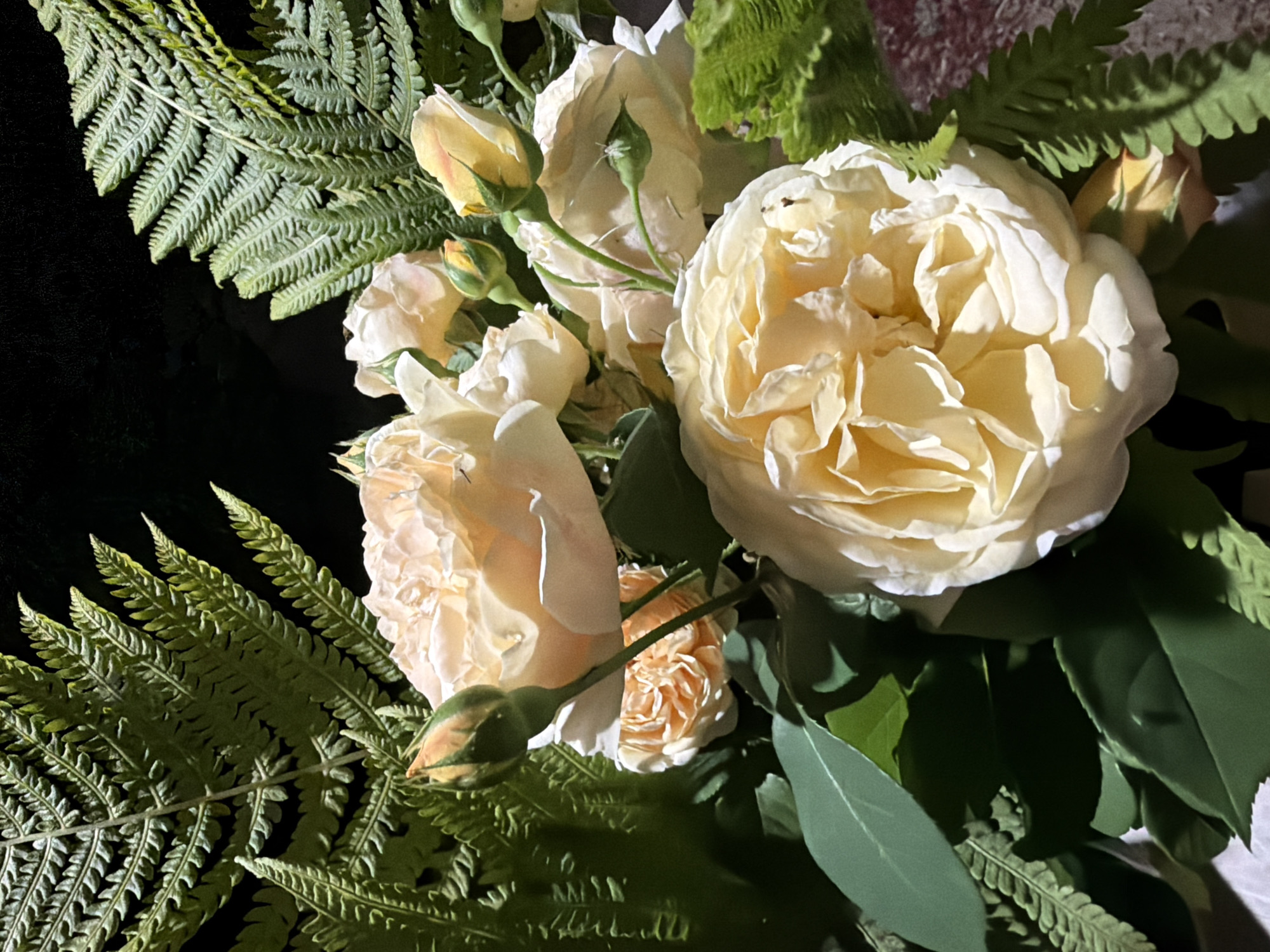A close-up, eye-level, full-shot photograph showcases a bouquet of pale yellow and cream-colored roses interspersed with vibrant green fern fronds. The lighting is dramatic, with strong highlights and deep shadows, suggesting an artificial light source or very low ambient light. The roses are in various stages of bloom, with some fully open and others appearing as tight buds. The fern fronds are large and feathery, adding texture and contrast to the delicate petals of the roses. The background is dark and indistinct, making the flowers and ferns the sole focus of the image. No people or city elements are visible.