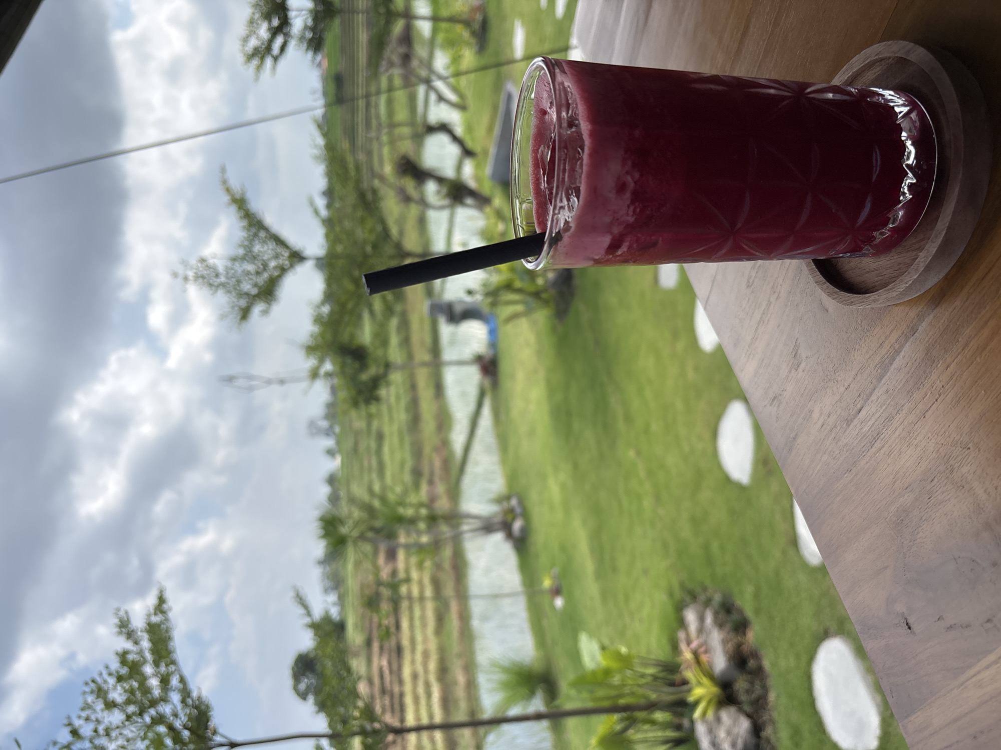 A tall glass of a vibrant, deep red smoothie or juice is placed on a wooden coaster, which in turn sits on a wooden table. The glass has a textured pattern and contains a dark red beverage with ice and a black straw. The setting appears to be outdoors, with a lush green lawn and a body of water in the background. Several trees with sparse foliage dot the landscape, and in the distance, terraced fields suggest an agricultural area. The sky is overcast with grey clouds. This scene is likely from a cafe or restaurant in Kediri, Indonesia, offering a scenic view of rural or semi-rural surroundings.
