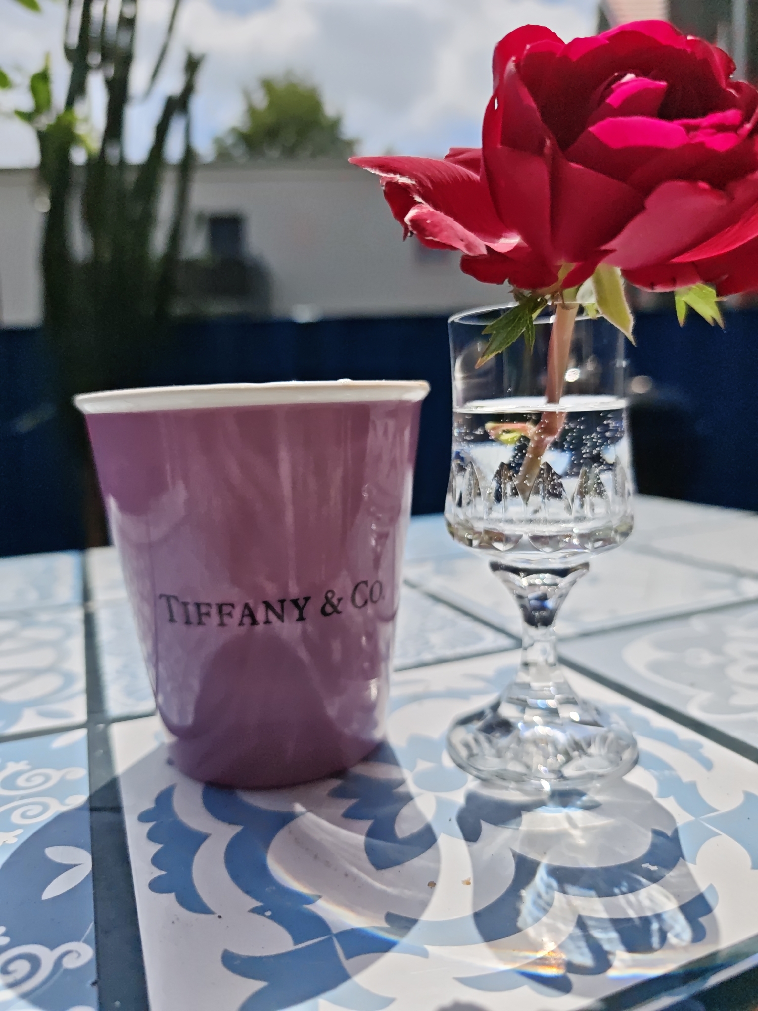 A close-up, eye-level shot captures a vibrant red rose in a small, clear glass vase filled with water and a single stem. The rose, with its intricate petals, is positioned to the right of a solid purple cup bearing the "Tiffany & Co." logo in black lettering. Both the cup and the vase rest on a tiled surface, possibly a table, decorated with a blue and white ornate pattern. Sunlight casts distinct shadows of the objects onto the tiles. In the background, out of focus, is a dark blue structure, greenery, and a light-colored building under a partly cloudy sky. The scene suggests an outdoor setting, perhaps a balcony or patio, likely in Schwerin, Germany, given the context provided. There are no people visible in the image.