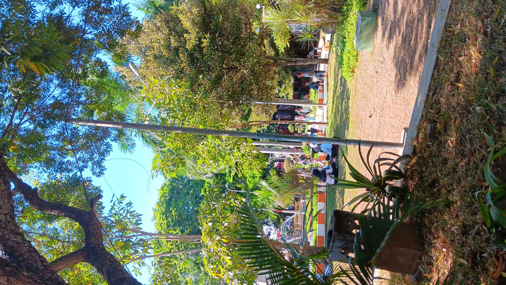 This image depicts a public park area, likely in Nganjuk, Indonesia, on a sunny day. The foreground is dominated by lush greenery, including palm fronds and a spiky plant in a concrete planter. Beyond this, a central grassy area is dotted with people of various ages, some sitting on the grass and others standing. A paved path with an orange and white border separates the grassy area from a dirt path in the middle ground. Further back, trees of varying heights and species create a dense canopy. A lamppost stands prominently in the mid-ground. In the distance, a fountain with intricate structures is visible, suggesting a decorative water feature. The overall atmosphere is relaxed and casual, with people enjoying the outdoor space. The foliage and clear blue sky indicate a warm climate.