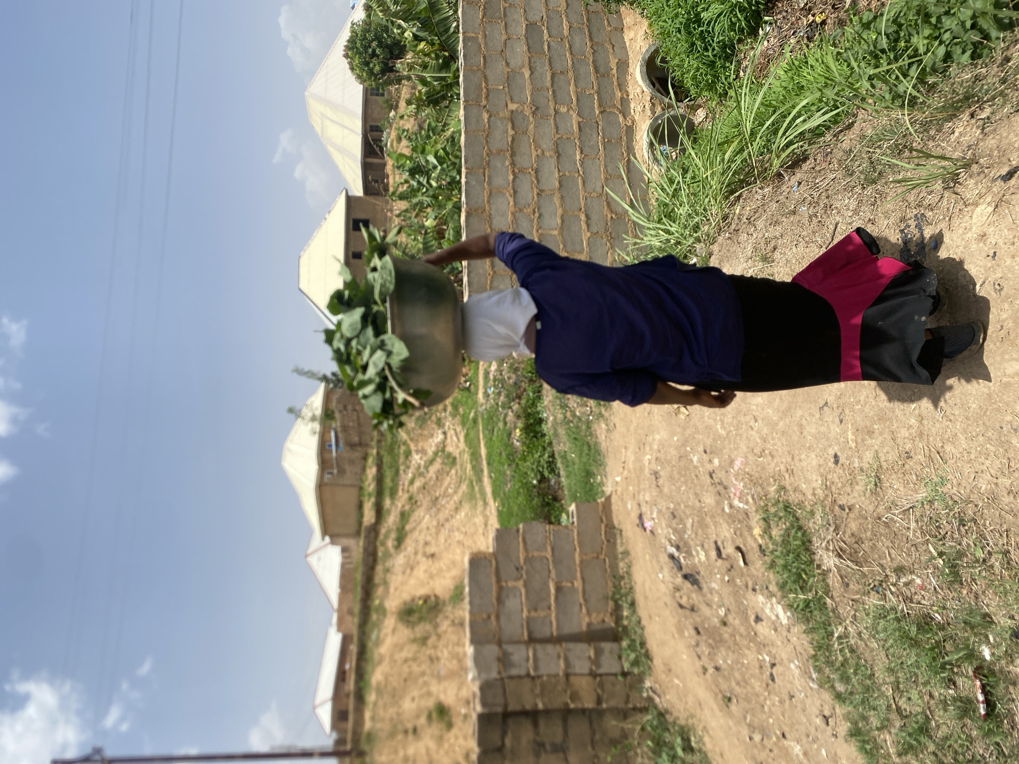 A person is carrying a large bowl of green leaves on their head. They are wearing a white head covering, a blue shirt, a black skirt, and a red and black skirt or pants. The person is walking on a dirt path in Bukuru, Nigeria. A cinder block wall is to the left of the person and another incomplete cinder block wall is on the other side of the path. Beyond the path is sparse grass. In the distance are several buildings. The sky is blue with some clouds and utility wires are visible.