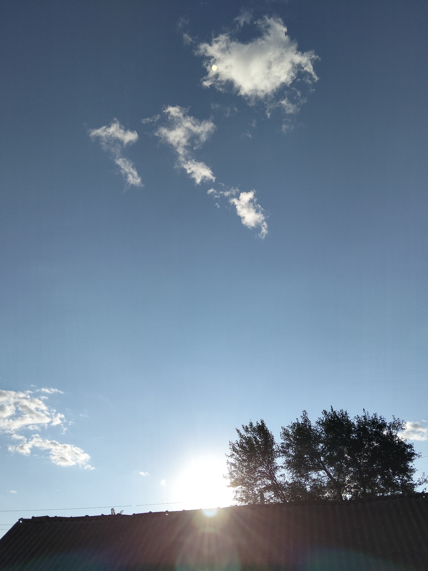 A wide-angle, full-shot photograph captures a bright, clear sky over the city of Ustyvytsia, Ukraine. The sky is a pale blue, with scattered white cumulus clouds. The sun is low in the sky, positioned to the right, casting a bright glare and creating visible lens flare rays. In the foreground, a dark, corrugated roofline runs horizontally across the bottom of the frame. Silhouetted against the sun are the tops of several deciduous trees, their branches and leaves dark and leafy. A thin wire is visible strung above the roofline. The image is taken from a low angle, looking upwards towards the sky.