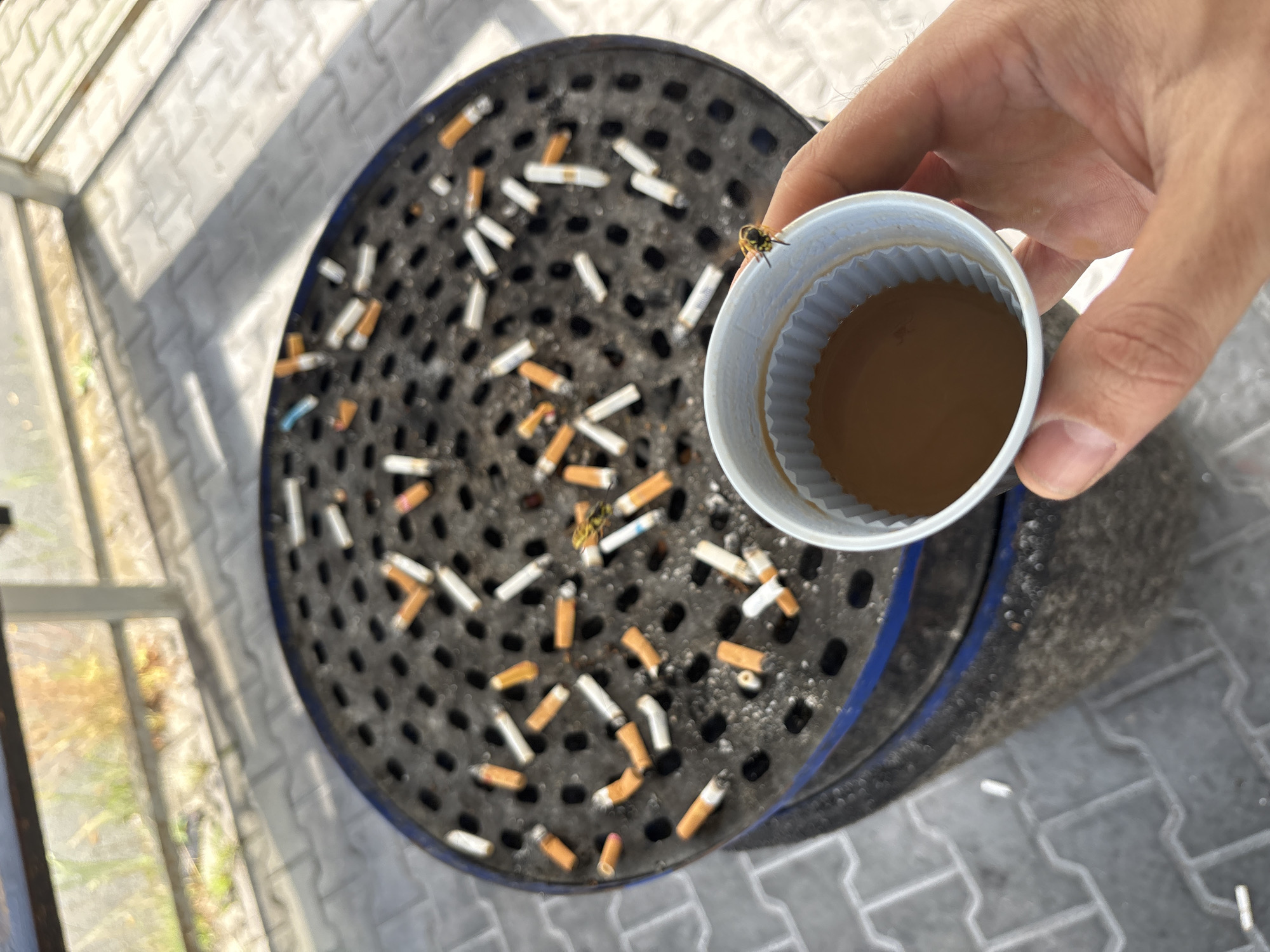 An outdoor scene captured from a first-person perspective shows a person holding a small paper cup filled with a brown liquid, possibly coffee, in their right hand. A small insect, possibly a wasp, is perched on the rim of the cup. In the background, a large, round ashtray is overflowing with cigarette butts. The ashtray sits on top of a cylindrical base. The ground is paved with grey interlocking bricks. In the far background, a blurry view of vegetation and a bench is visible. The lighting suggests it is daytime, with shadows cast on the ground.