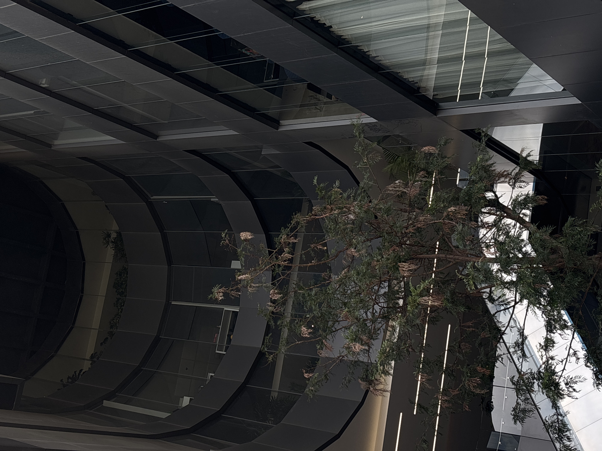 An upward shot captures the architecture of a building in San Bernardino Tlaxcalancingo, Mexico. The building features a dark, angular design with alternating opaque and reflective surfaces. A tree with dense foliage partially obscures the view, its branches extending into the frame from the right. The reflective surfaces mirror the sky and other architectural elements, creating an Escher-like visual effect. The scene is dominated by the building's construction with the tree offering a contrasting natural element.