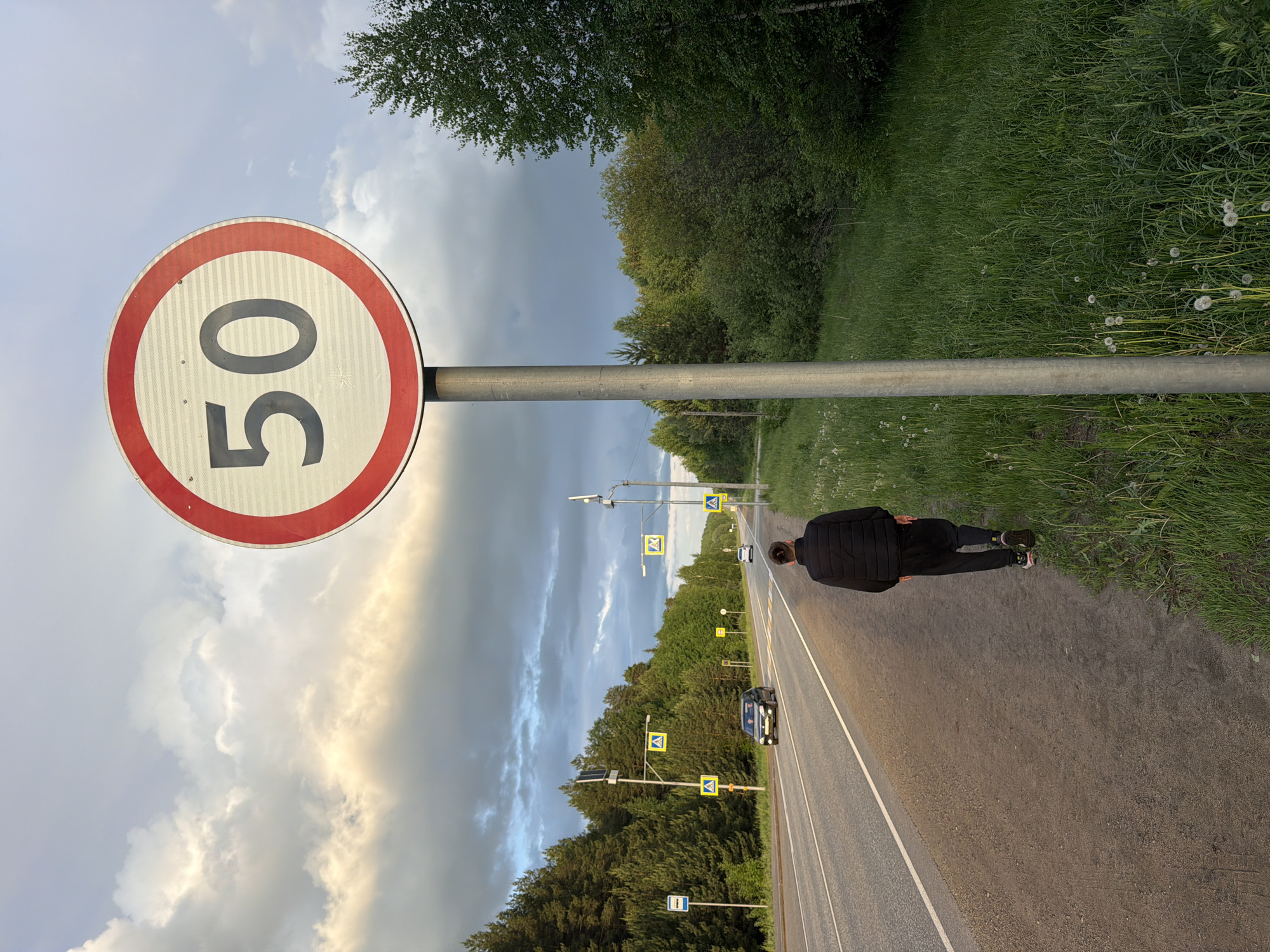 The image depicts a road scene in Chaikovsky, Russia. A round speed limit sign with the number "50" is prominently displayed. A person dressed in black is walking along the side of the road. In the background, there's a car traveling on the road. The environment includes trees, grass, cloudy sky, and various road signs indicating pedestrian crossings.