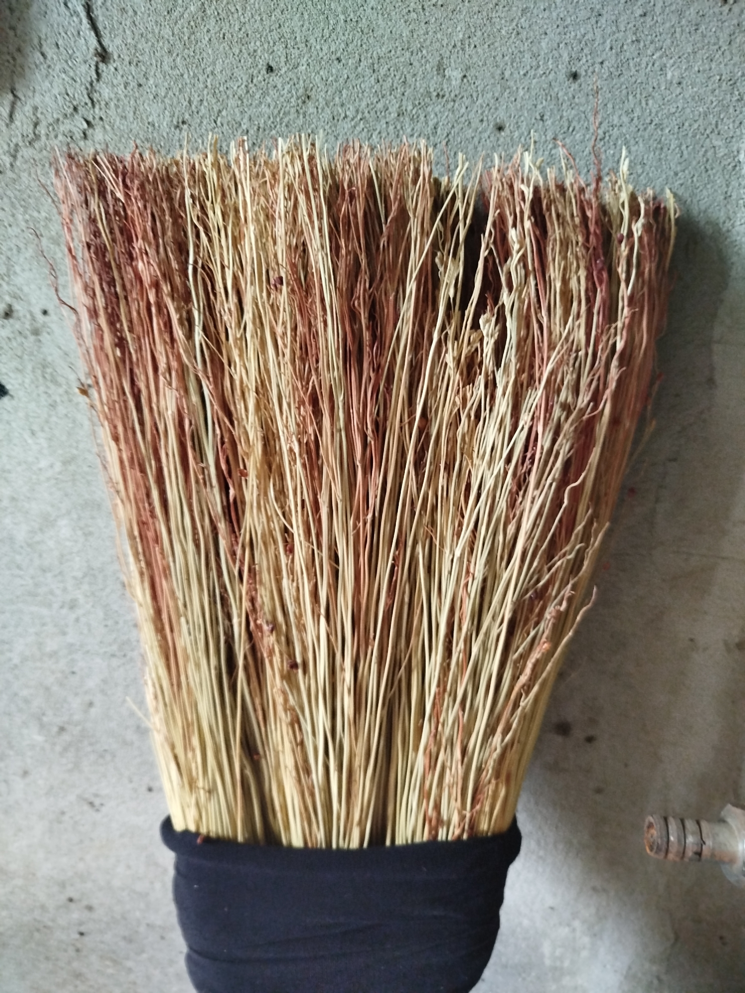 A close-up, vertical, medium shot shows the top of a broom leaning against a textured concrete wall. The broom has a bundle of dry, straw-like material, predominantly light tan with some reddish-brown strands, tied with a black fabric band at the bottom. The broom is positioned centrally and fills most of the frame. The concrete wall, which forms the background, is gray and rough, with subtle variations in tone and a few small dark specks. To the right of the broom, a small portion of a metallic object with a threaded end is visible, also against the concrete wall. The lighting is diffuse, creating soft shadows. The image appears to have been taken indoors or in a sheltered outdoor area. There are no people or animals present in the scene. The location is identified as Kryvaselski Sel'ski Savet, Belarus.