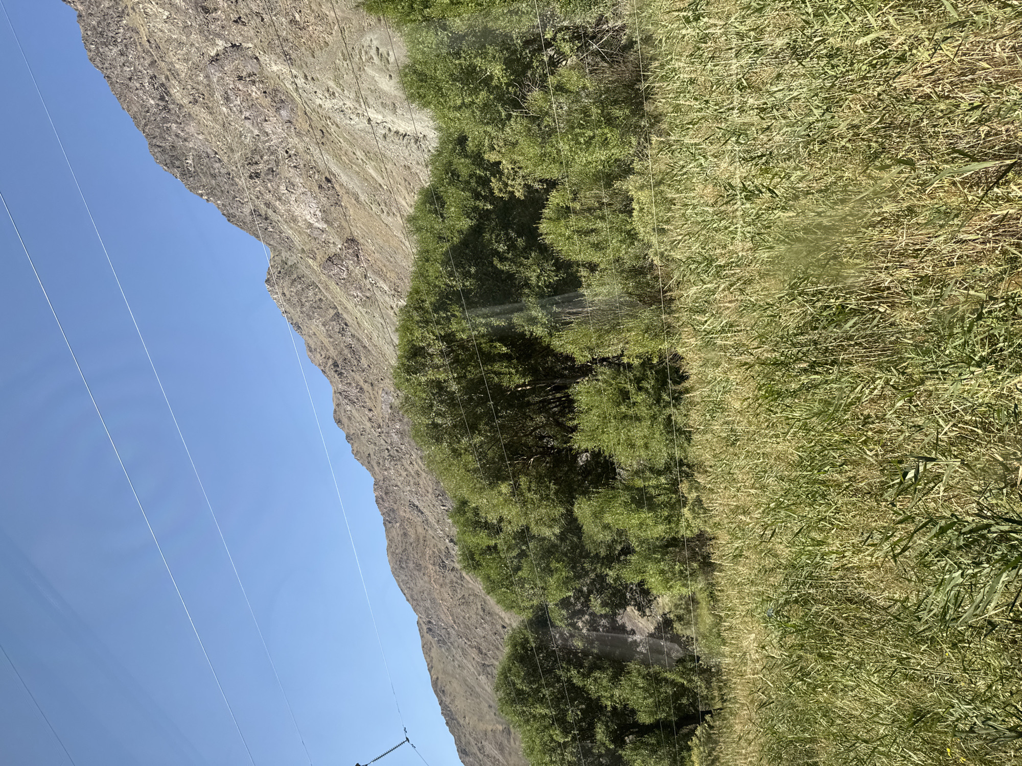 The image shows a natural landscape under a clear blue sky. In the foreground, there is a dense field of tall, green and yellow grass. Behind the grass, a line of lush green trees forms a thick band across the middle of the image. Beyond the trees, a steep, barren mountain slope rises, characterized by rocky terrain and varying shades of brown and gray. Several thin, parallel power lines stretch horizontally across the sky and over the landscape, indicating the presence of infrastructure in the area. The overall impression is one of a rural or semi-wild environment with evidence of human presence through the power lines. The scene is devoid of any people or discernible structures other than the power lines.