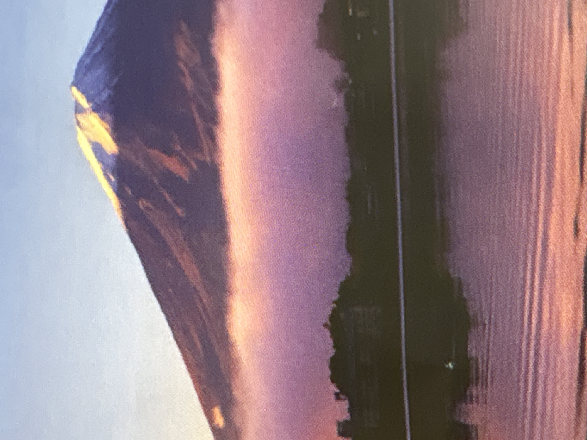 The image depicts a landscape scene featuring Mount Fuji, Japan, illuminated by a sunset. The mountain's peak is dusted with snow and catches the warm hues of the setting sun, creating a golden glow. Below the peak, a band of pinkish-purple mist or clouds hugs the mountainside, obscuring the lower slopes. In the middle ground, a dark silhouette of trees and possibly buildings lines the horizon, suggesting a town or settlement near the base of the mountain. The foreground is dominated by a body of water, likely a lake or river, reflecting the colors of the sky and mist, with gentle ripples disturbing the surface. The sky above is a pale blue, transitioning to warmer tones near the horizon. There are no people or animals visible in the image. The location is not Chelmsford, United Kingdom.