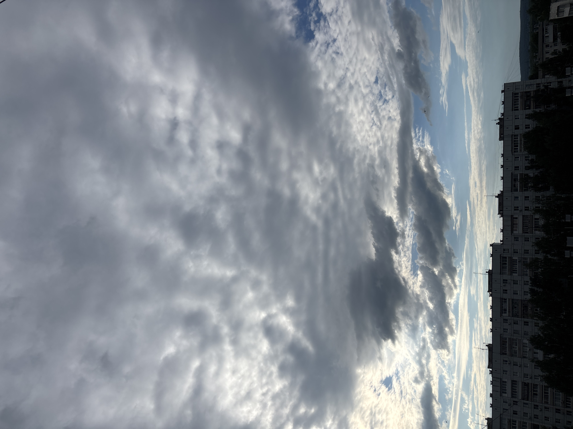 This is a photograph taken in the city of Chaikovsky, Russia. The image captures a wide view of an overcast sky filled with various cloud formations. The clouds are predominantly gray and white, with some areas appearing darker and more dense, suggesting approaching rain or a storm. Patches of blue sky are visible between the clouds, particularly towards the horizon.
In the foreground, the upper sections of several multi-story apartment buildings are visible. These buildings are uniform in design, typical of Soviet-era architecture, with balconies and windows lining their facades. A line of dark green trees partially obscures the lower parts of the buildings. The overall atmosphere of the image is subdued, likely due to the cloudy weather. A few small, dark shapes in the sky could be birds. The scene appears to be taken from an elevated viewpoint, looking out over the city.