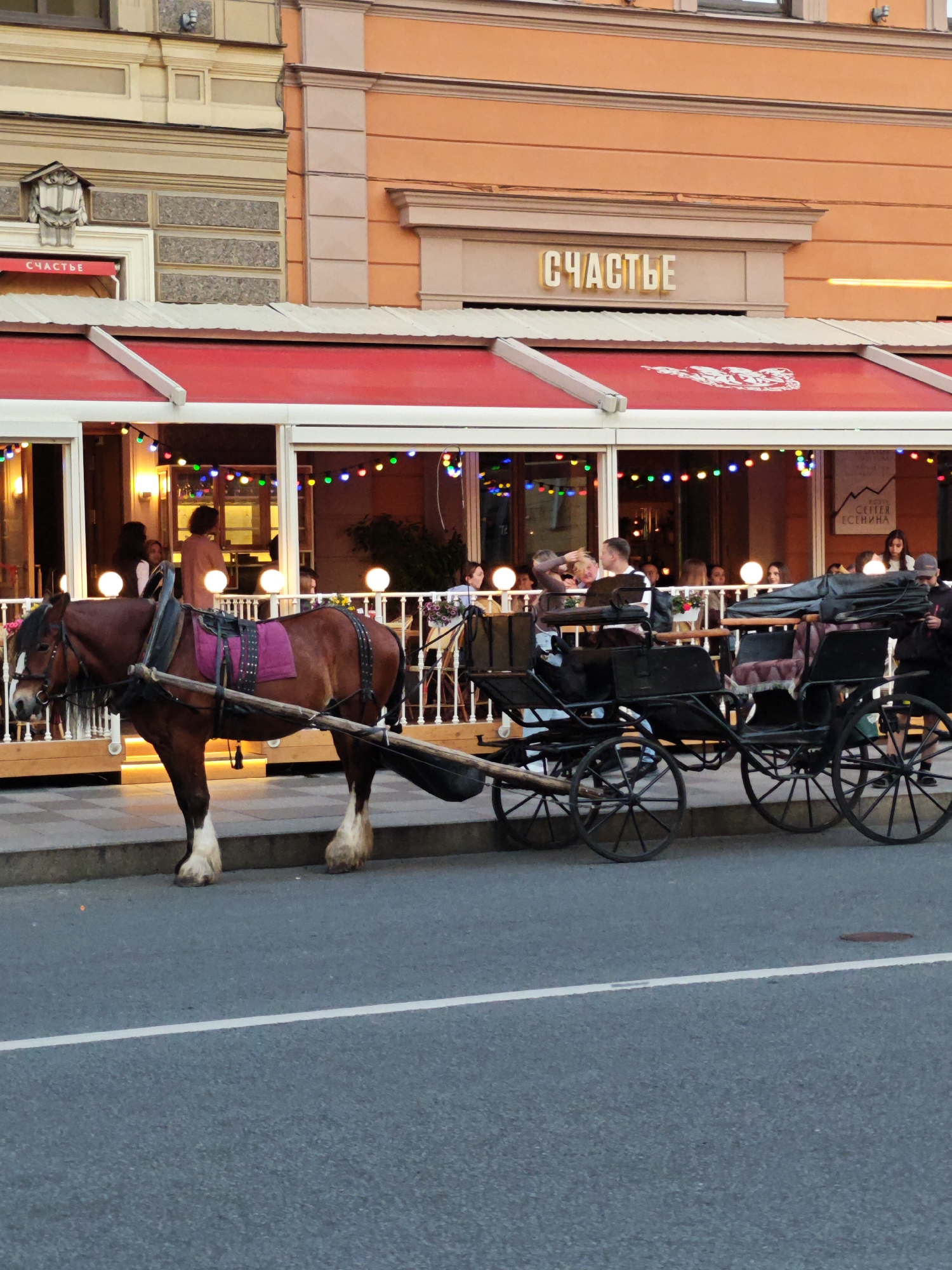 This image depicts an urban street scene in Saint Petersburg, Russia, featuring a horse-drawn carriage positioned in front of a restaurant.
In the mid-ground, a dark bay horse with white feathering on its lower legs stands facing left, harnessed to a black, two-wheeled open carriage. The horse wears a dark leather harness with a purple saddle pad. The carriage contains two seated individuals. The horse and carriage are situated on a sidewalk, adjacent to a paved street with a single white lane line.
In the background, a building with an orange upper facade and classic architectural elements hosts the restaurant. A large red awning extends over the ground floor, beneath which large windows reveal the restaurant's interior. The name "СЧАСТЬЕ" (Schastye), meaning "Happiness," is prominently displayed in gold letters above the main awning and also on a smaller red awning to the left. The restaurant's interior is illuminated by warm lighting, multicolored string lights, and several spherical white lamps. Multiple patrons are visible inside, seated at tables and engaged in conversation. One person is partially visible standing near the rear of the carriage on the right.
The overall lighting suggests late afternoon or early evening.