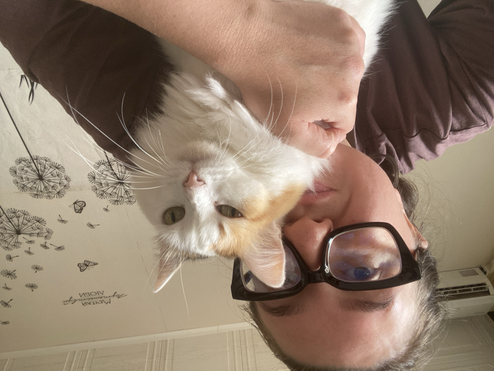 A woman wearing black-rimmed glasses holds a calico cat in front of her. She is looking down at the cat, with her mouth slightly open. The cat is looking forward, with its ears perked. The background is a wall with a dandelion-themed wallpaper and a text that says "мечтай путешествуй люби" which translates to "Dream travel love". An air conditioner is visible on the top left of the image. The overall setting suggests an indoor environment, likely a residential space in Chaikovsky, Russia.