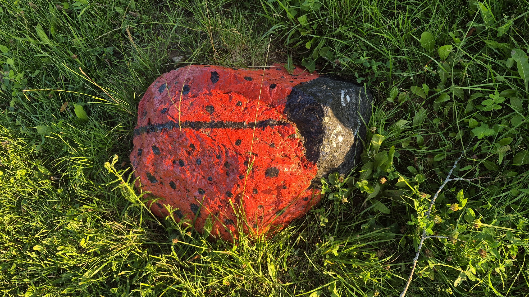 The image shows a painted rock resembling a ladybug, nestled in green grass. The rock is primarily red with black spots and a black stripe down its middle. A portion of the rock at the bottom is unpainted and appears to be a darker, rougher texture. The surrounding environment consists of lush green grass and some small weeds, with a hint of sunlight illuminating the scene. There is a thin, dry twig crossing the lower portion of the image. The setting appears to be outdoors, likely in a grassy area. No people or specific urban features are visible.