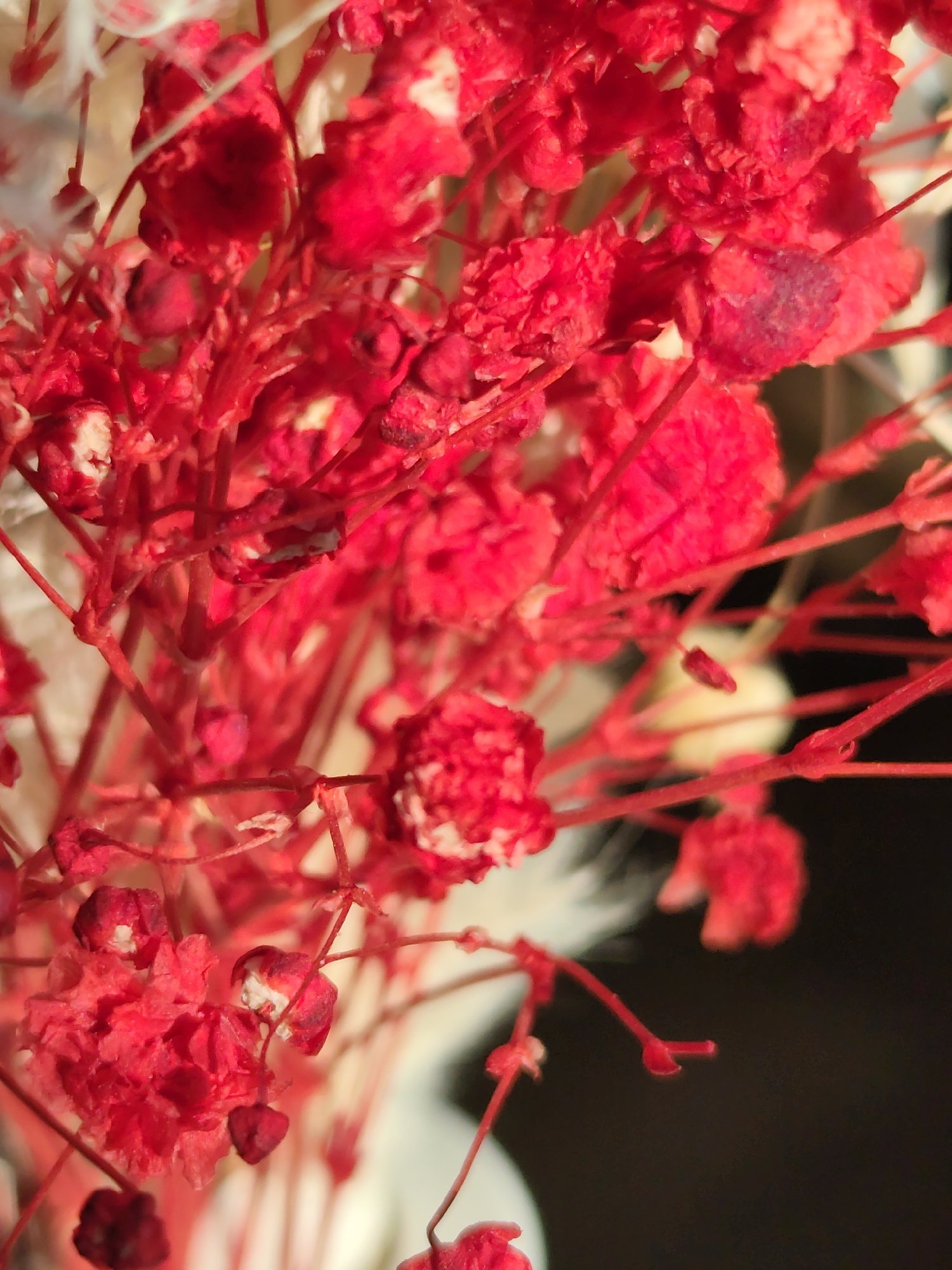 The image shows a close-up of dyed red gypsophila flowers, commonly known as baby's breath. The flowers are densely packed, with a few white feathery elements visible among the red. The background transitions from light at the bottom left to dark at the right. There is no evidence to suggest this photo was taken in the city of Нижний Пальник, Russia.