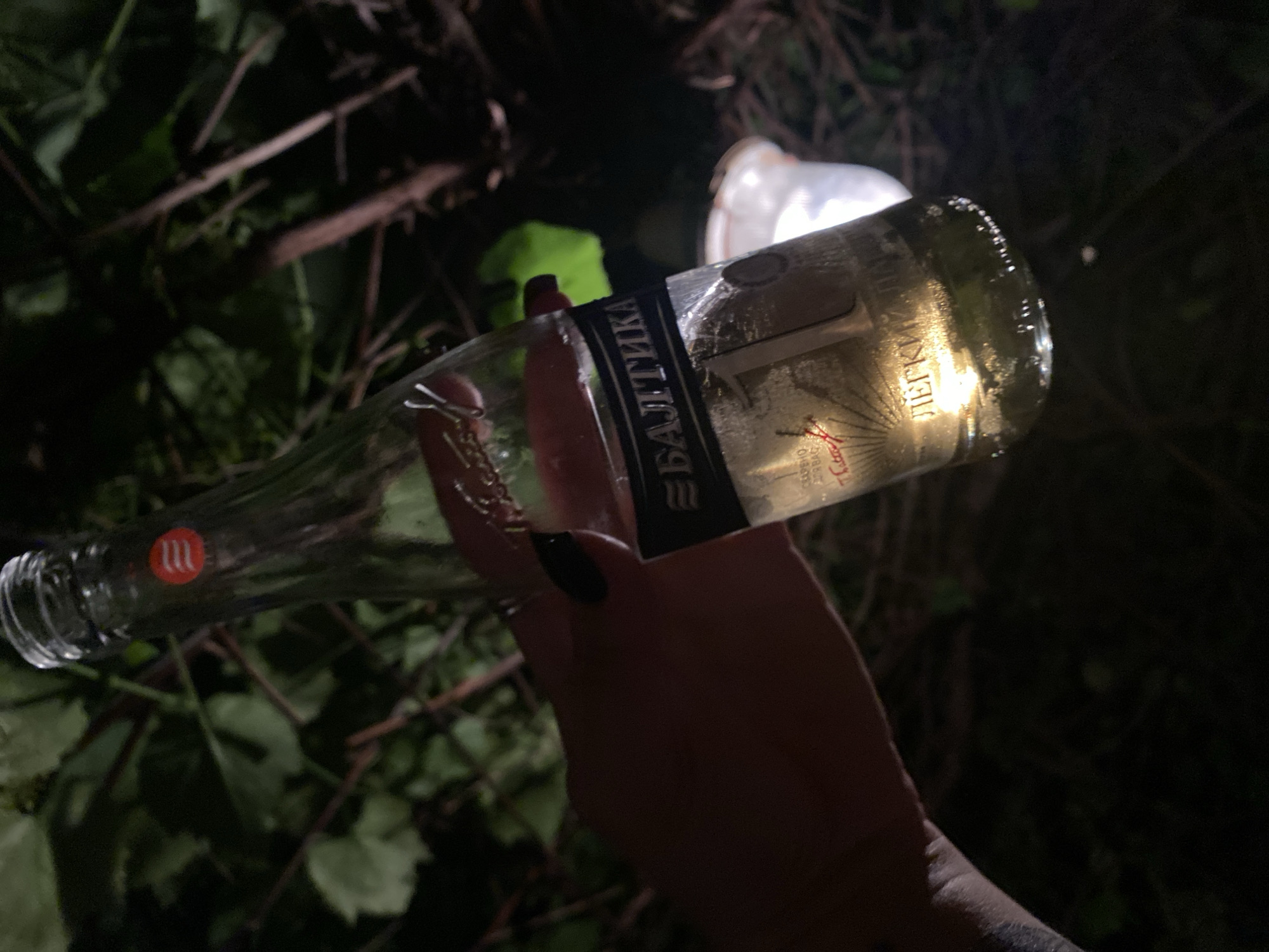 An extreme close-up, low-angle shot features a hand holding a clear glass bottle with a beverage. The bottle's label is primarily black with silver text, displaying Cyrillic lettering that reads "БАЛТИКА" and "ЛЕГКИЙ". The liquid inside is a pale yellow, and condensation is visible on the bottle. The background is dark and appears to be an outdoor setting with blurred foliage and branches, suggesting a natural environment possibly on the outskirts of Solnechnaya Polyana, Russia. The lighting is dim, with the bottle itself being illuminated from within and below. A white object, possibly a bucket, is visible in the background, out of focus.