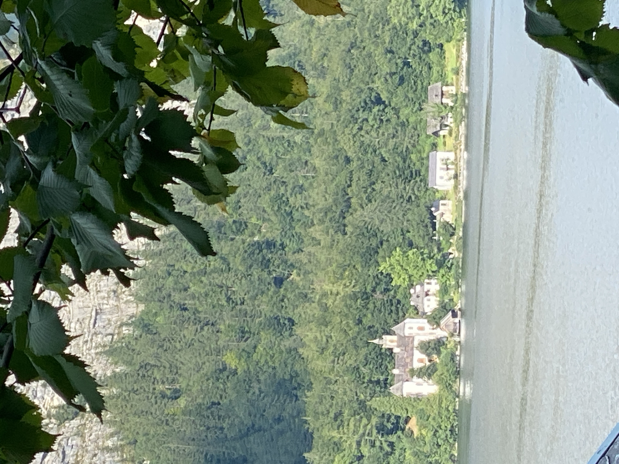 This is a photograph of a scenic view of the Hallstatt lake in Hallstatt, Austria. In the foreground, out of focus, is a dark leafy branch. The middle ground features a calm, shimmering body of water with ripples. Along the shoreline, a collection of white buildings, including a prominent white castle-like structure with several turrets and a tower, are nestled amongst lush green trees. Behind the buildings, a dense, dark green forest covers the hillside, which then transitions into a rocky, light-colored mountain face in the background. The sky is not visible in the frame. The image appears to be taken on a bright, clear day, possibly in the late afternoon given the lighting. There are no people visible in the image.