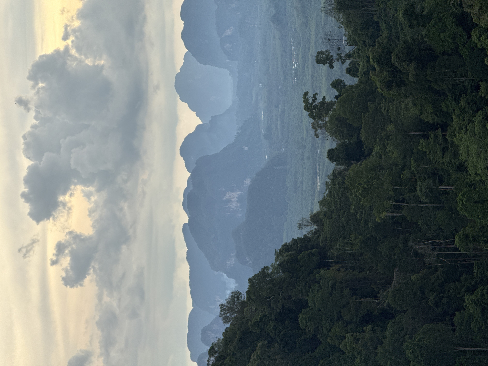 The image captures a panoramic view of a mountainous landscape in the vicinity of Ban Khao Tang, Thailand. In the foreground, a dense, dark green forest covers a steep slope, with various trees of different heights and textures. The midground reveals a valley filled with more lush vegetation and scattered buildings, suggesting a rural settlement. Dominating the background is a series of majestic, mist-shrouded karst mountains, their distinctive shapes softened by atmospheric haze. The sky above is a canvas of soft, muted tones, with patches of pale yellow light breaking through a layer of dramatic, heavy grey clouds. The overall impression is one of natural grandeur and tranquility, with the interplay of light and shadow emphasizing the dramatic topography.