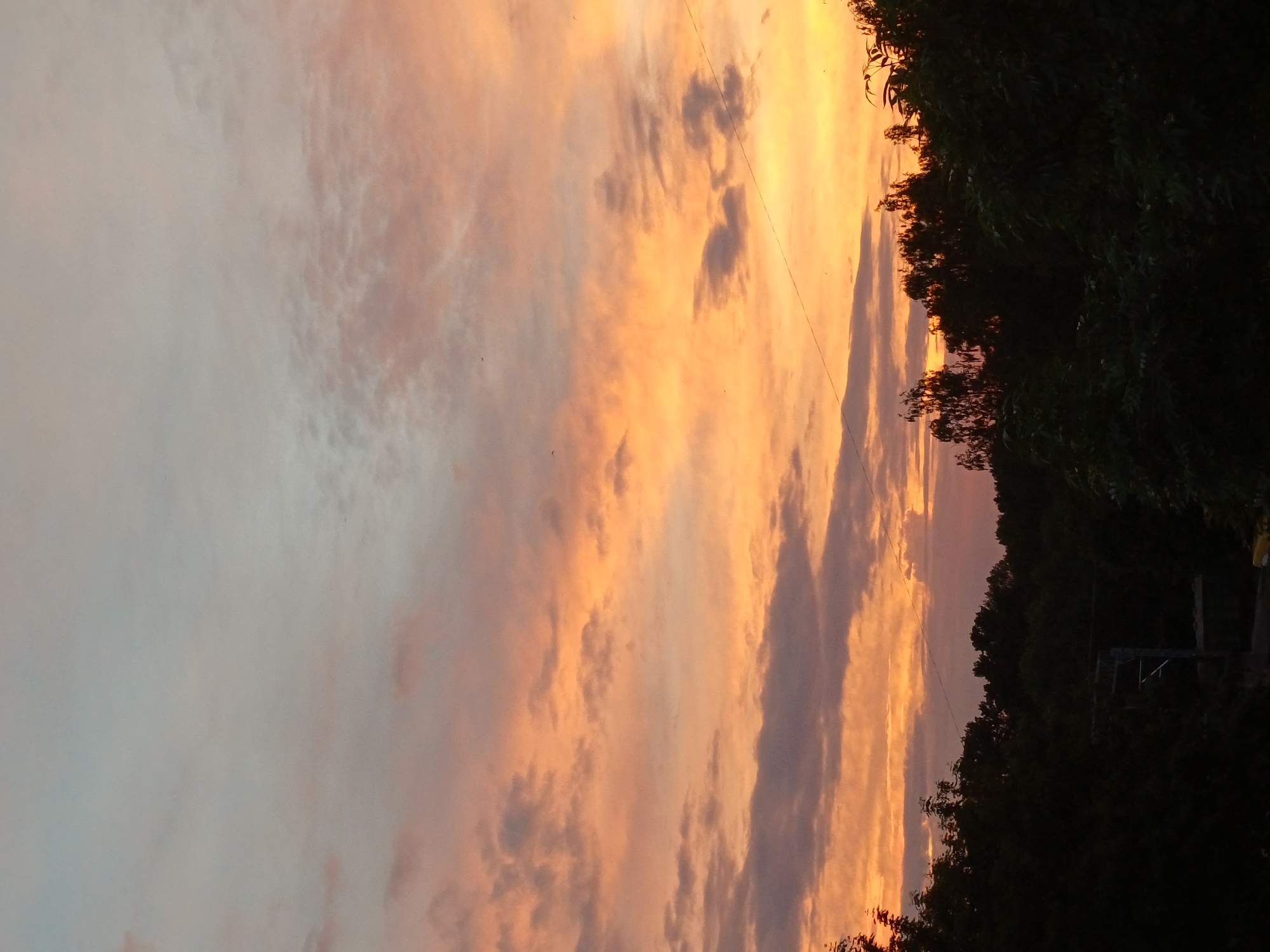The image depicts a sky filled with colorful clouds at sunset, transitioning from pale blue at the top to vibrant orange and pink hues near the horizon. Silhouetted trees form a dark line across the bottom of the frame, obscuring the ground. A thin wire is visible stretched horizontally across the sky. No people or specific landmarks are discernible. The scene suggests an outdoor, natural environment at dusk. The mention of Riga, Latvia, is not supported by any visual elements within the provided image.