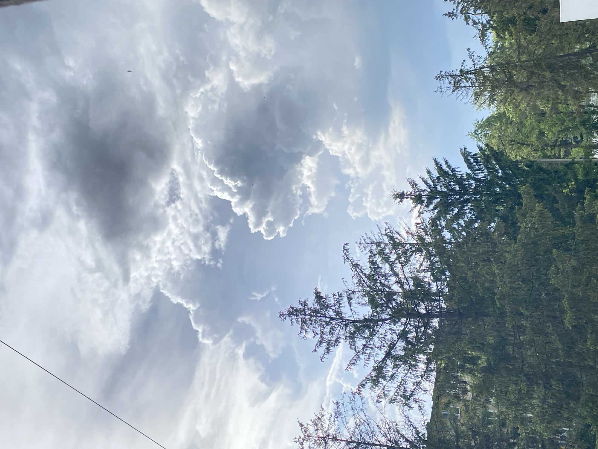 The image shows a view of the sky with trees on the right side of the frame. The sky is filled with cumulus clouds, varying in color from bright white to dark gray. A power line runs across the bottom left corner of the image. A bird is flying in the sky. The location of the photo is Unknown, Unknown.