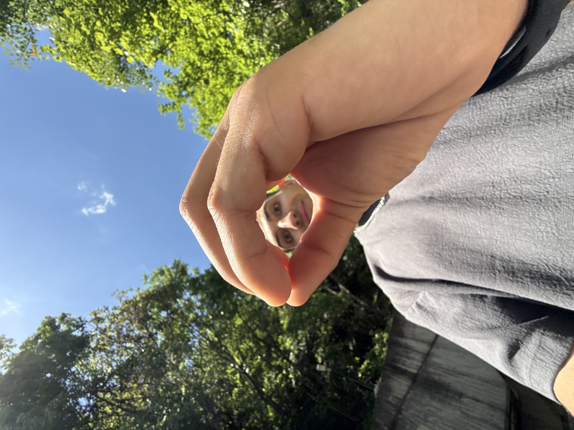 A low-angle, candid outdoor shot shows a person holding their hand in a circle around their face, looking through the circle. The sky is blue, with a few clouds. The backdrop consists of trees. The person's face is visible through the circle formed by their hand, with their tongue slightly out. The person is wearing a gray top. The location is identified as the city of Shumen, Bulgaria.