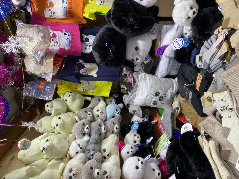 A vibrant display showcases an array of merchandise. T-shirts in orange, pink, navy, and yellow, each emblazoned with seal designs, are neatly stacked. An assortment of plush seal toys in white, gray, and black shades fill the space. A plastic-wrapped seal face bag is also present. Bundles of socks with reindeer patterns and other designs are visible on the right side. Christmas decorations, including tinsel and ornaments, frame the scene.