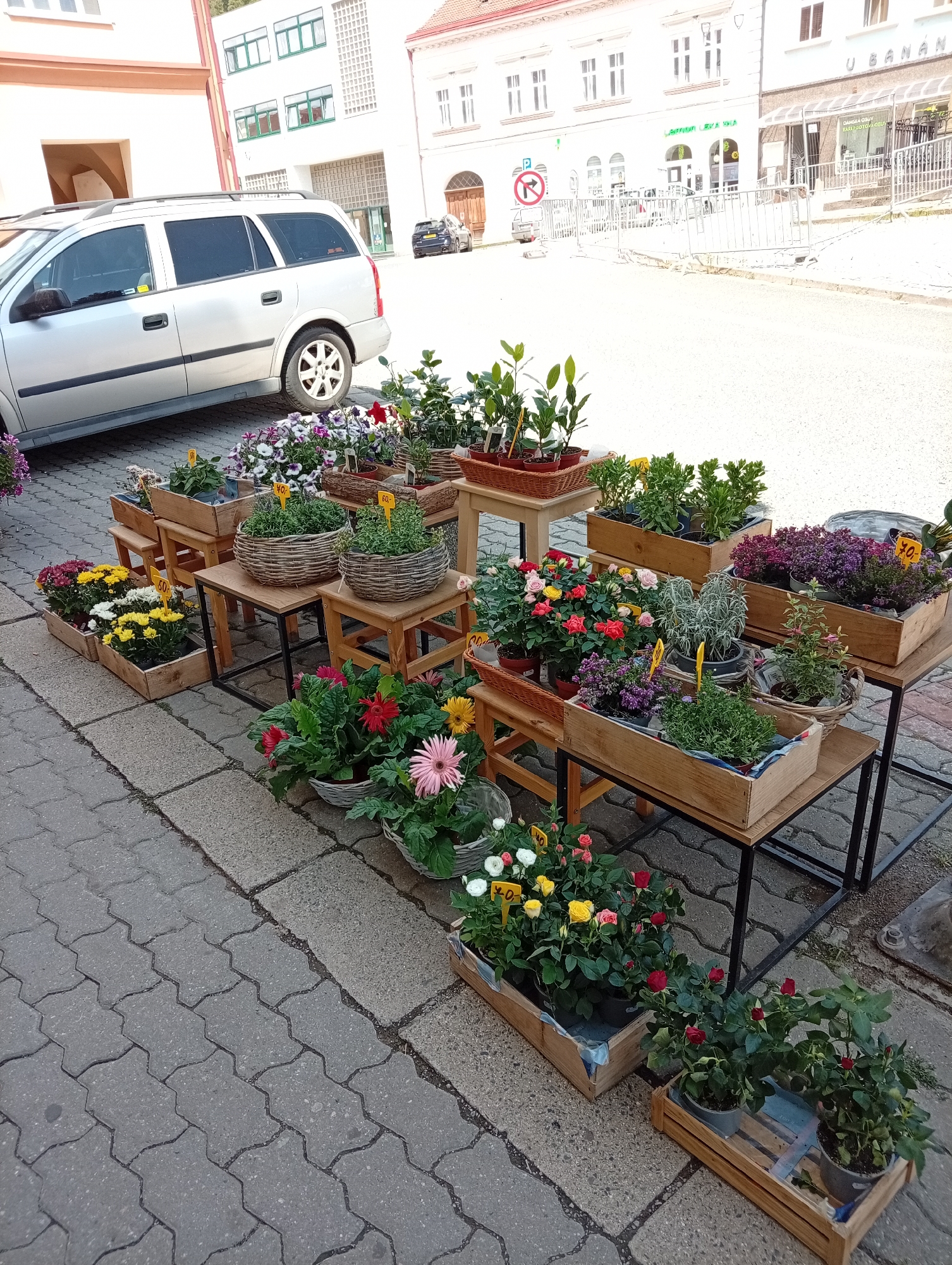 The image depicts a street-level view of a flower stand in Tišnov, Czechia. The foreground shows various potted plants and flowers arranged on wooden stands and directly on the cobblestone sidewalk. These include roses in different colors, daisies, and other small flowering plants, some with price tags visible. A silver station wagon is parked on the left side of the image, partially obscuring the background. The background features buildings with storefronts, suggesting a commercial area. One building has a sign that is partially visible. The scene appears to be outdoors during daylight hours.