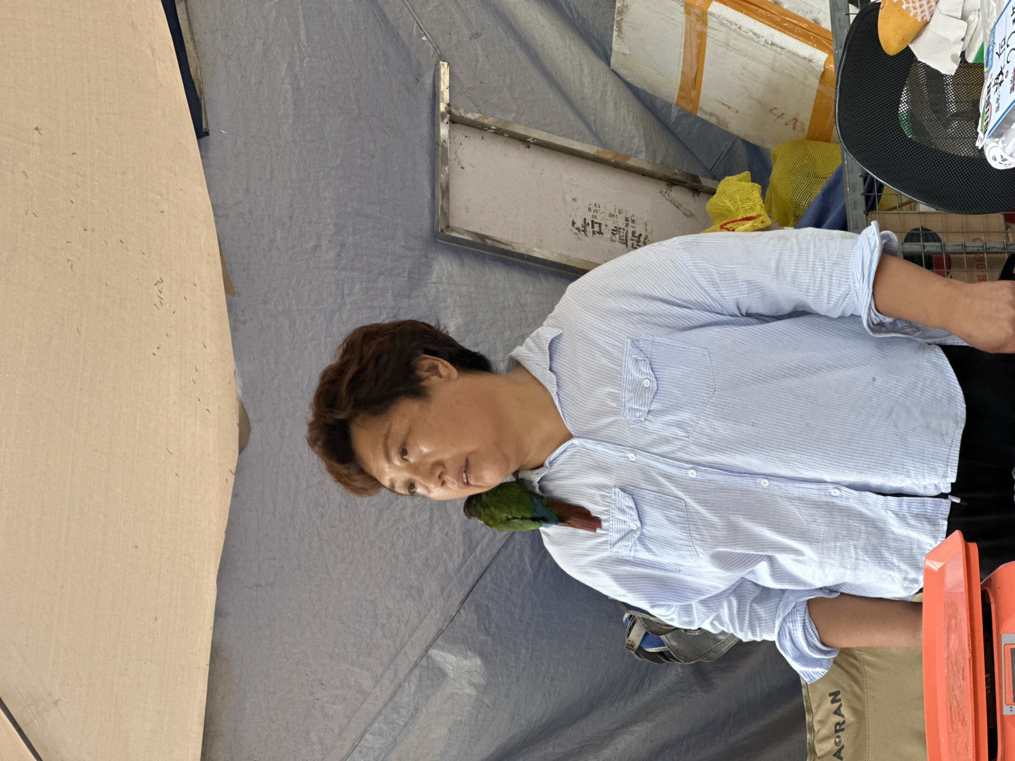 A person is shown with a small green parrot perched on their shoulder. The person is wearing a light blue striped button-down shirt. The parrot has blue and red markings on its wings and tail. The scene appears to be outdoors, possibly under a canopy or tarp, as indicated by the textured gray material covering the background. To the left, a large, light-colored textured surface, possibly wood or cardboard, is visible. In the background, there are various objects, including yellow mesh bags, white panels with writing, and a black mesh chair. The lighting suggests it is daytime. The person's expression is neutral, and the parrot seems relaxed on their shoulder. Text visible on one of the white panels includes Chinese characters. Another piece of text on a beige garment in the foreground reads "AQRAN". The image is oriented vertically.