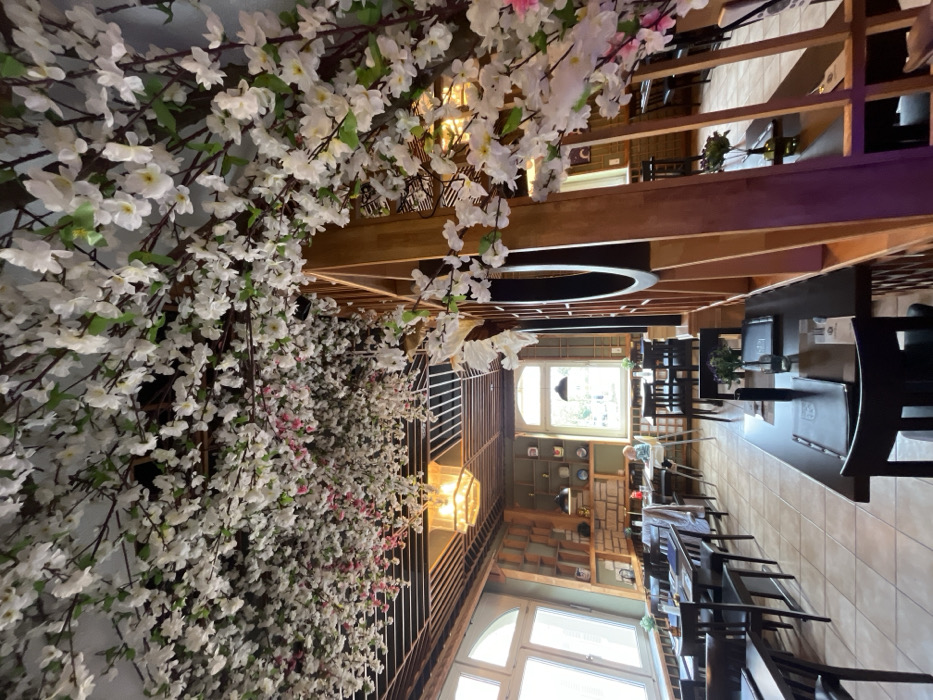 The image displays the interior of a restaurant, characterized by an abundant and immersive cherry blossom (sakura) theme. The perspective is taken from within the restaurant, looking towards the back.
The most striking feature is the extensive artificial cherry blossom decoration that covers the ceiling and the left wall. These blossoms are primarily white, with scattered hints of light pink, creating a vibrant, spring-like canopy overhead and a flowering wall. The branches supporting these flowers appear naturalistic and are densely packed.
To the right of this blossom-laden wall, and forming part of the ceiling structure, are warm-toned wooden beams and latticework. A large, circular, dark-colored decorative element or light fixture hangs from this wooden ceiling structure in the midground.
The dining area is furnished with multiple dark-colored tables and chairs. The tables are rectangular, and some have menus placed on them, suggesting a dark cover with perhaps a logo. The chairs are also dark, with cushioned backs and seats. The flooring throughout the visible area is a light-colored, possibly beige or cream, tiled surface.
In the background, natural light streams in through large windows, one of which appears to be an arched doorway or a multi-paned window, offering a glimpse of an outdoor scene that includes green foliage, suggesting it might be daytime. Below these windows, along the wall, there are shelves displaying various decorative items, possibly ceramic plates or bowls, indicating a thoughtful interior design. Another section of the wall near the windows has a textured finish, possibly brick or stone, painted in a muted color.
Small floral arrangements, possibly artificial purple flowers, are visible on some of the dining tables. Further into the background, more tables and chairs are arranged, extending into additional sections of the restaurant, indicating a spacious layout. One small, indistinct figure, possibly a customer, can be faintly seen seated at a table near the back window.
The overall ambiance is bright and welcoming, combining natural light with the soft glow from artificial lighting fixtures (one warm-toned fixture is visible on the right wall). The decor strongly suggests an Asian, likely Japanese, dining establishment, creating a tranquil and aesthetically pleasing environment. No clear, readable text is discernible in the image.