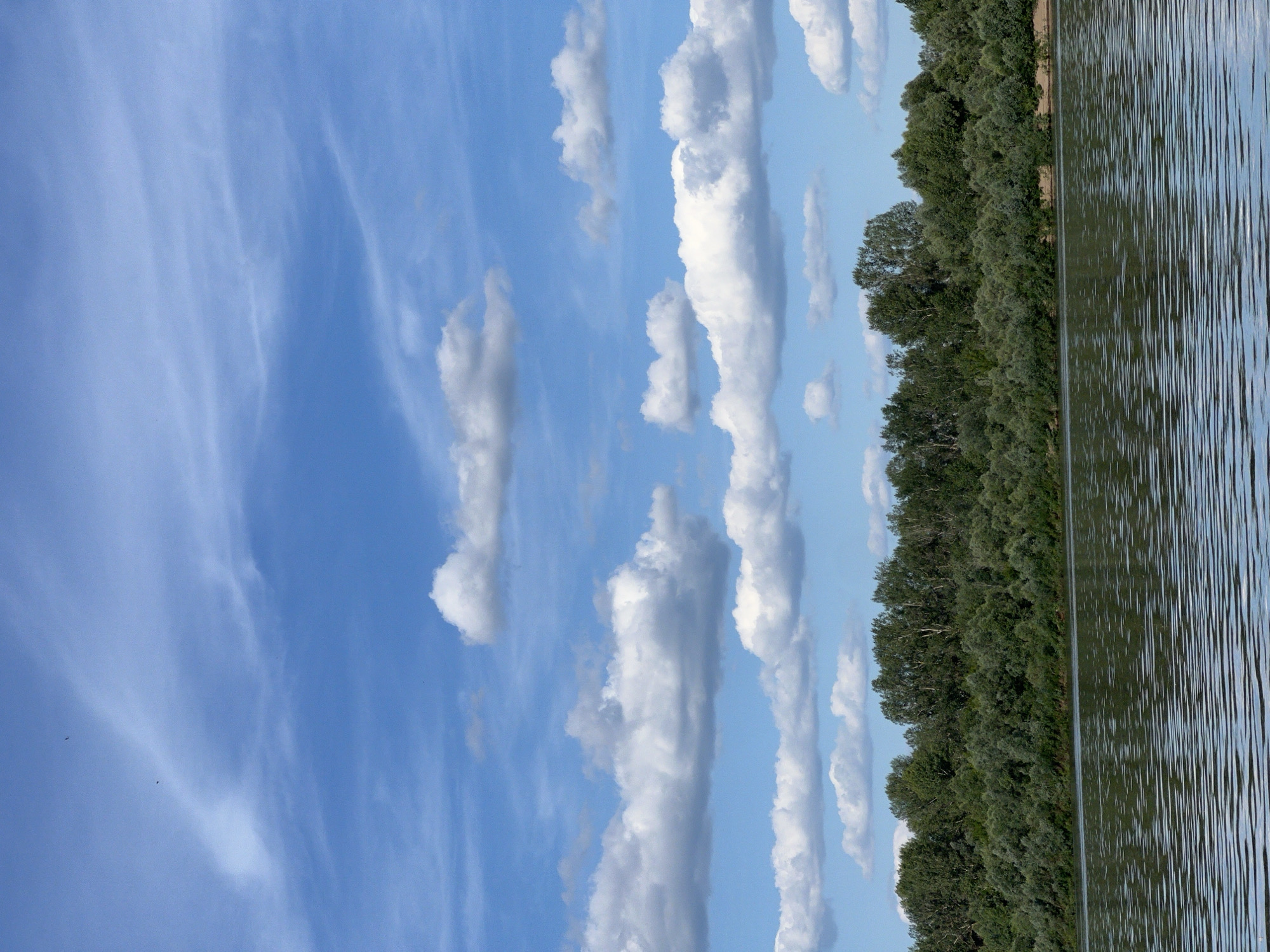 The image depicts a serene natural landscape, likely a riverbank, on a sunny day with a clear blue sky dotted with white clouds. The scene is oriented vertically, with the sky occupying the left two-thirds of the frame and a dense line of lush green trees bordering the right third, which is then followed by the reflective surface of water.
The sky is a prominent feature, filled with wispy cirrus clouds streaked across a vibrant blue expanse, indicating fair weather and perhaps a gentle breeze. Scattered cumulus clouds add texture and depth to the aerial view.
Along the horizon, a thick band of diverse green foliage forms a natural barrier, suggesting a well-wooded area. The trees are varied in shape and shade of green, creating a rich tapestry of vegetation. The water on the right side of the image is calm but rippled, reflecting the surrounding environment and the sky. The ripples create a dynamic pattern of light and shadow on the water's surface.
The overall mood of the image is peaceful and tranquil, capturing the beauty of a natural riverside setting on a bright day. There is no visible text, people, or specific objects in the frame, focusing solely on the expansive sky, the verdant treeline, and the reflective water. The scene suggests a moment of quiet observation of nature.