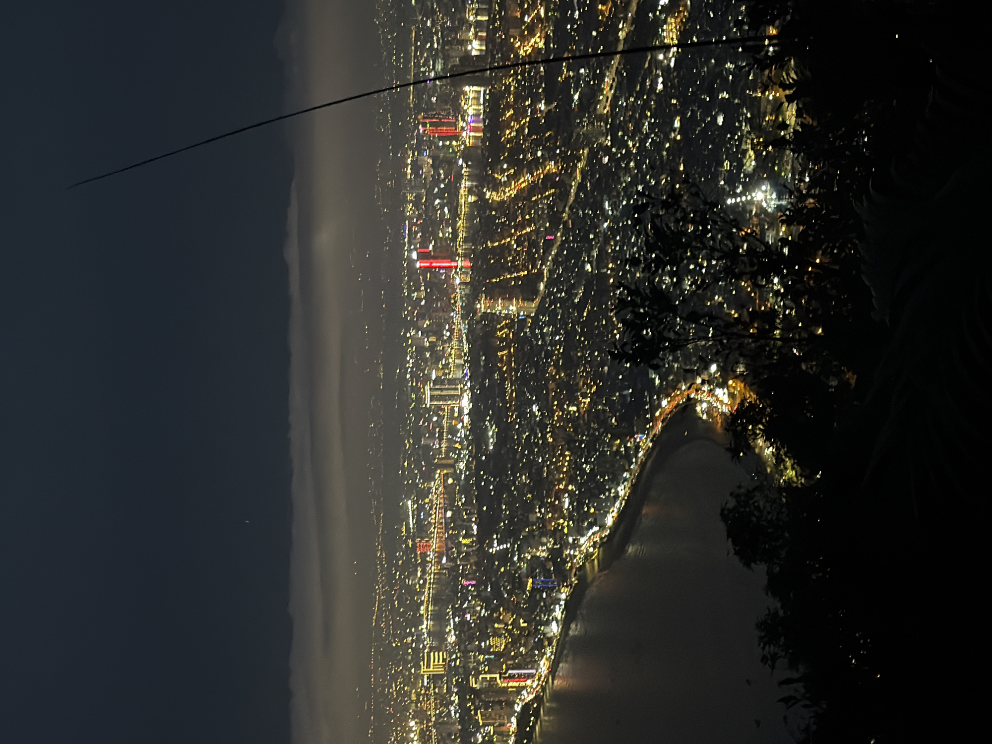 The image shows an aerial night view of Đà Nẵng, Vietnam. The city is illuminated with numerous lights, indicating dense urban development. A body of water, likely the coastline, borders the city. Trees and foliage are visible in the foreground, appearing dark and silhouetted. A dark, cloudy sky is on the left. A wire is visible in the sky.