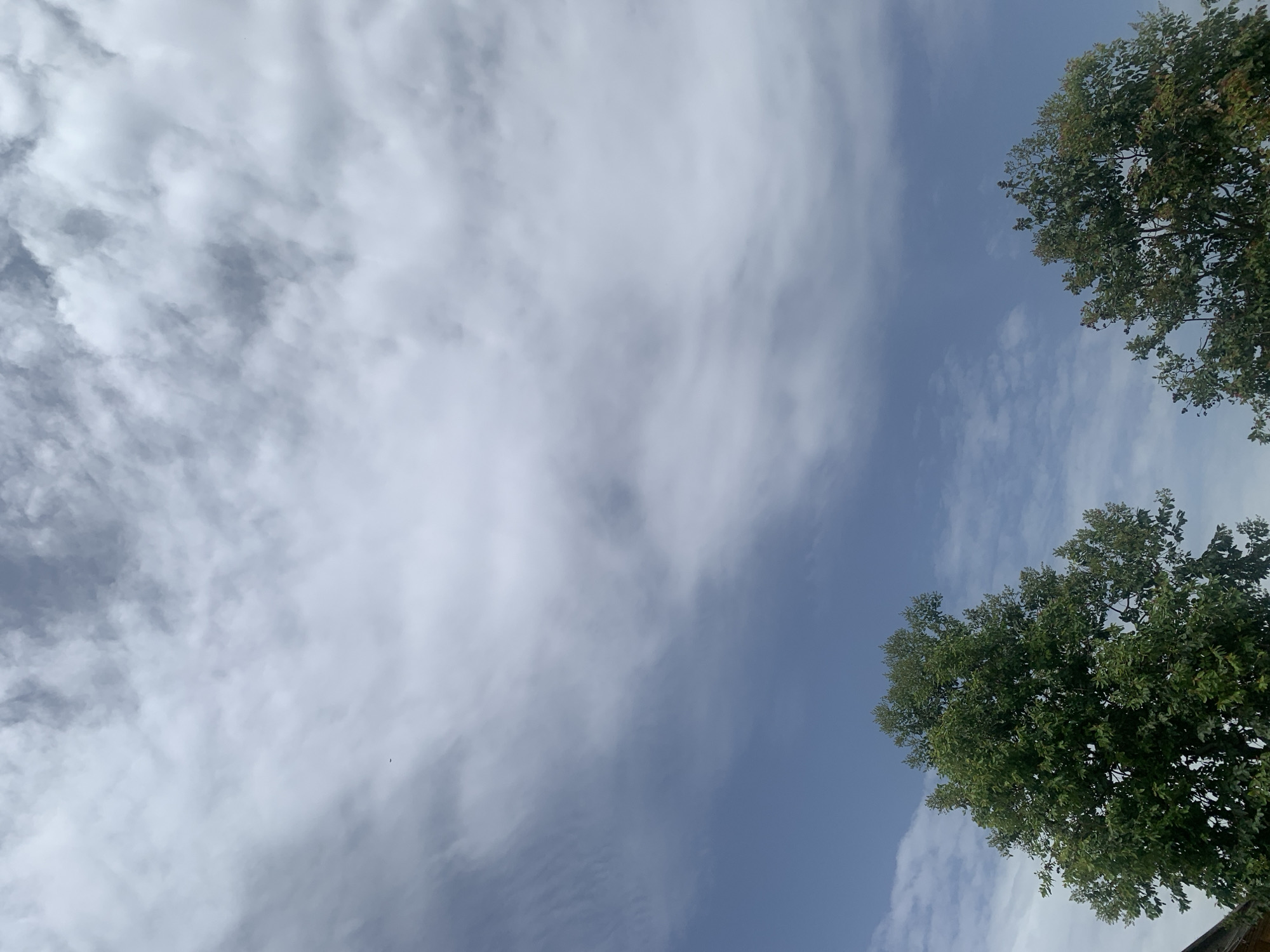 The image depicts a clear blue sky with scattered clouds, partially obscuring the sun, suggesting it is daytime. Two large, leafy green trees are visible in the upper right and lower right portions of the frame, with their branches reaching towards the sky. The foliage of the trees is dense and vibrant, indicating a healthy state and possibly a warm season. The sky appears to be a light blue, with thin, wispy clouds spread across it. There are no people or objects visible in the scene, nor any indication of a specific event taking place. The overall impression is one of a serene outdoor environment. The location context suggests this scene is in Kuru Karama, Nigeria. The orientation of the image is rotated, with the trees appearing on the right side of the frame.