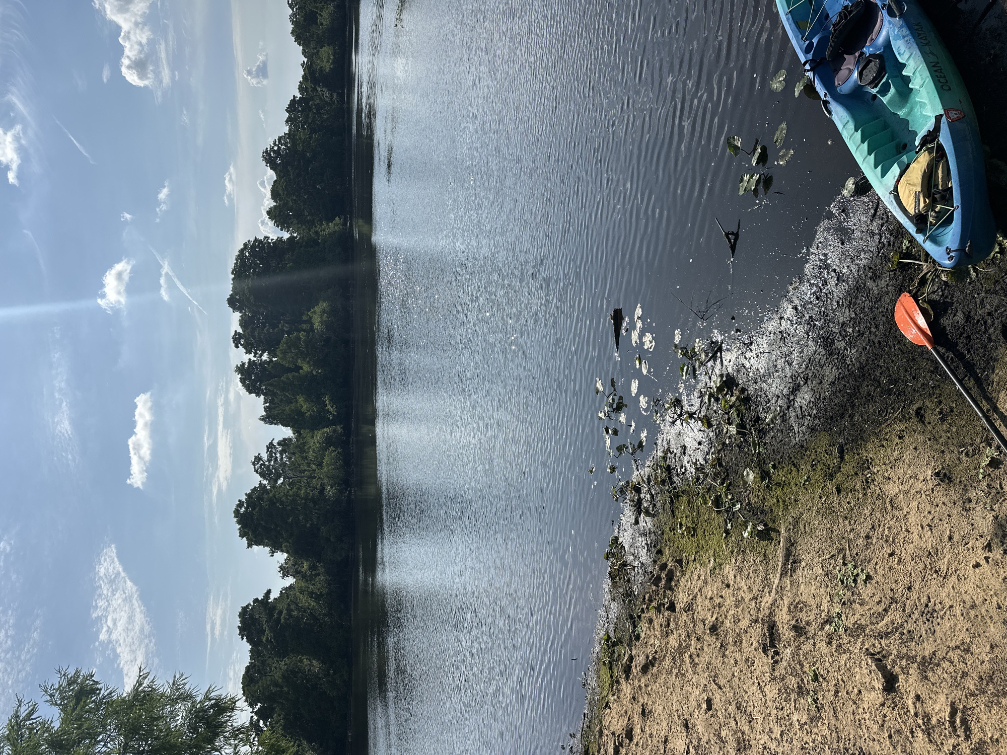The image depicts a body of water, likely a lake or river, with a shoreline featuring sand and vegetation. A blue and green kayak is partially visible on the right side of the frame, along with an orange paddle lying on the sandy shore. Lily pads float on the water's surface near the shoreline. Trees line the opposite bank of the water, and the sky is partially visible with scattered clouds. The location is potentially in Tampa, United States, but that is uncertain. No people are visible.