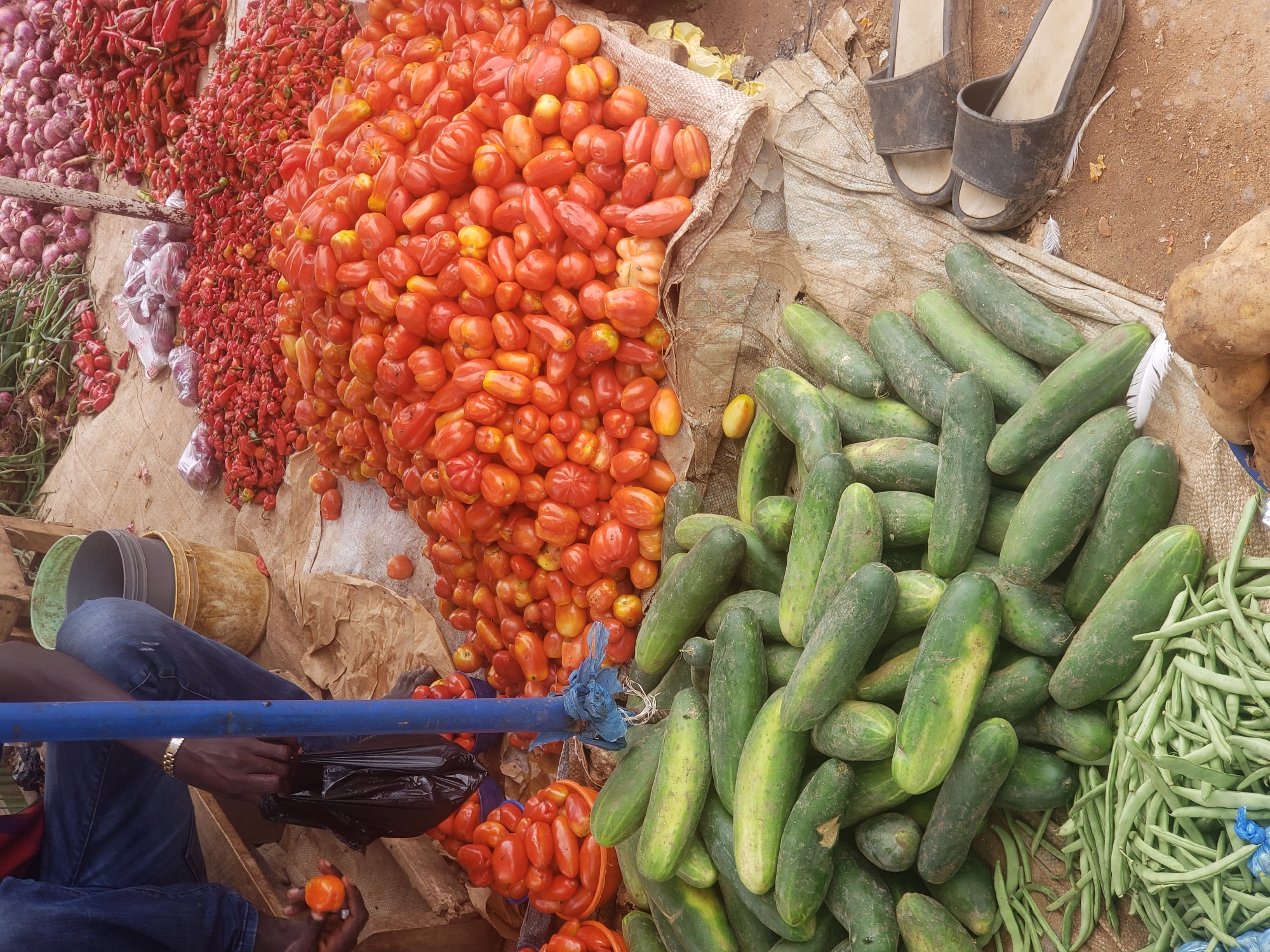 The image depicts a street market scene in the city of Television, Nigeria. In the foreground, a pile of green cucumbers rests on a coarse, tan-colored fabric. To the left of the cucumbers, a heap of long, thin green beans is visible. Behind the cucumbers, a large mound of red tomatoes is displayed on a similar fabric. Further back, piles of red chili peppers and onions are arranged. A person, whose legs and hands are visible, is sitting on a wooden stool, wearing blue jeans and a red shirt. They are holding a small orange tomato in their left hand and a black plastic bag in their right. A blue metal pole stands prominently in the center of the image. In the background, buckets and other market items are present. The ground appears to be dusty, indicating an outdoor setting. A pair of black sandals is visible to the right of the cucumbers.