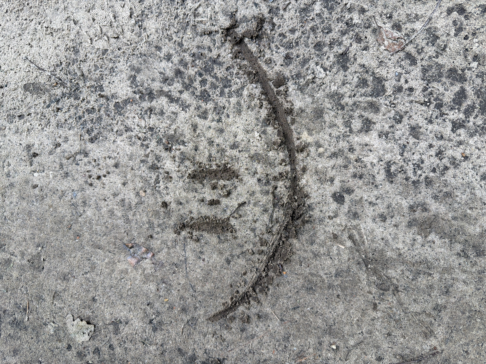 A close-up, overhead shot shows a crudely drawn smiley face etched into the damp, grey surface of a sidewalk in Upeslejas, Latvia. The smile is a curved line of dark, wet dirt or mud, with two vertical dashes representing eyes. The surrounding concrete is speckled with darker and lighter grey patches, some debris, and a few dried leaves. The lighting suggests it is daytime, with diffused light. There are no people or animals visible in the image.