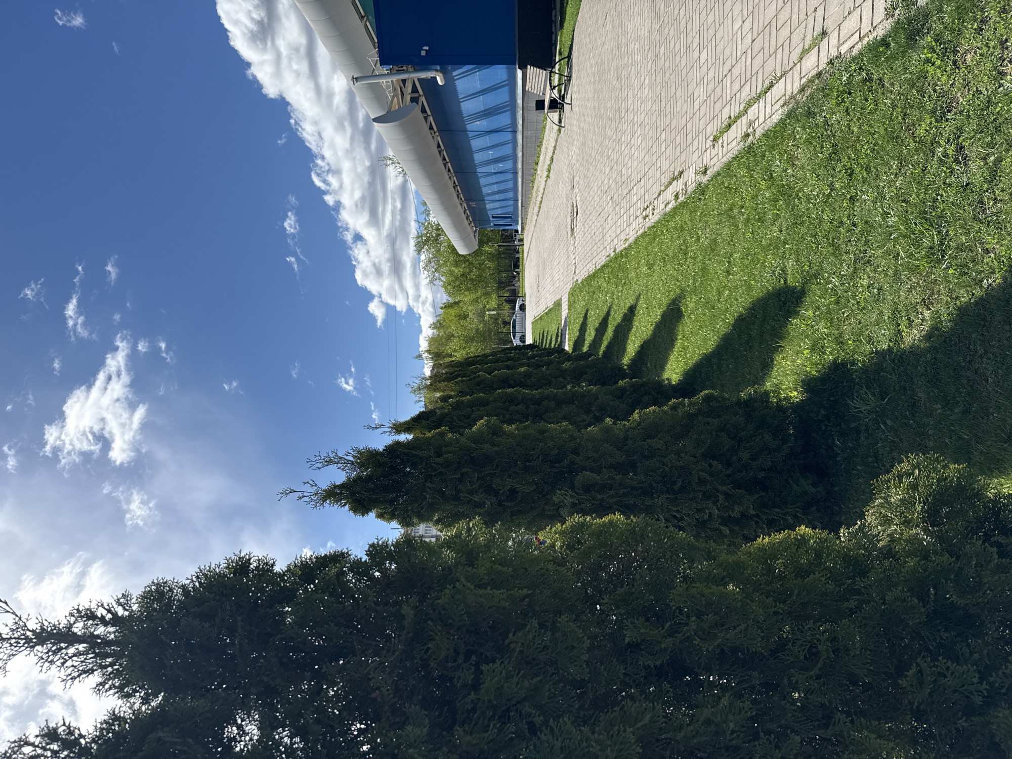 This outdoor shot shows a building with a blue exterior and glass windows, likely located in Izhevsk, Russia, based on the presence of a blue and white building style that is common there. In front of the building are rows of green, cone-shaped trees lining a strip of grass. The shadows of the trees fall onto the grass. Adjacent to the grass is a paved walkway made of interlocking gray stones. Above, the sky is blue with scattered white clouds. In the background, a few cars are visible.