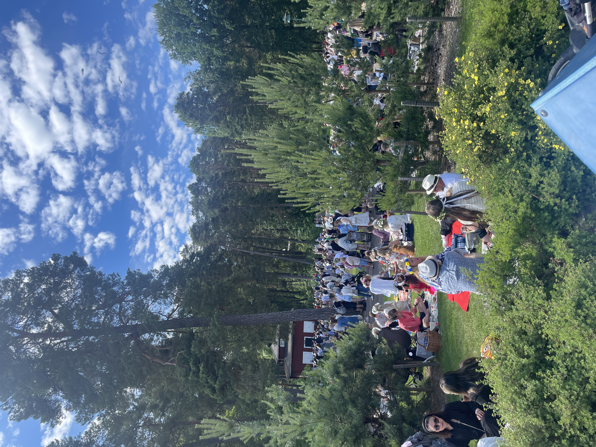 The image depicts a large outdoor gathering at Stadsträdgården in Karlstad, Sweden, on a sunny day with scattered clouds. A crowd of people is spread across a grassy area, with many engaged in picnics. Several individuals are seated on blankets, enjoying food and socializing. The environment is characterized by mature pine trees and lush green foliage, with a small red building visible in the background. Some people are wearing floral wreaths, suggesting a festive occasion, possibly Midsummer. The scene conveys a relaxed and communal atmosphere.