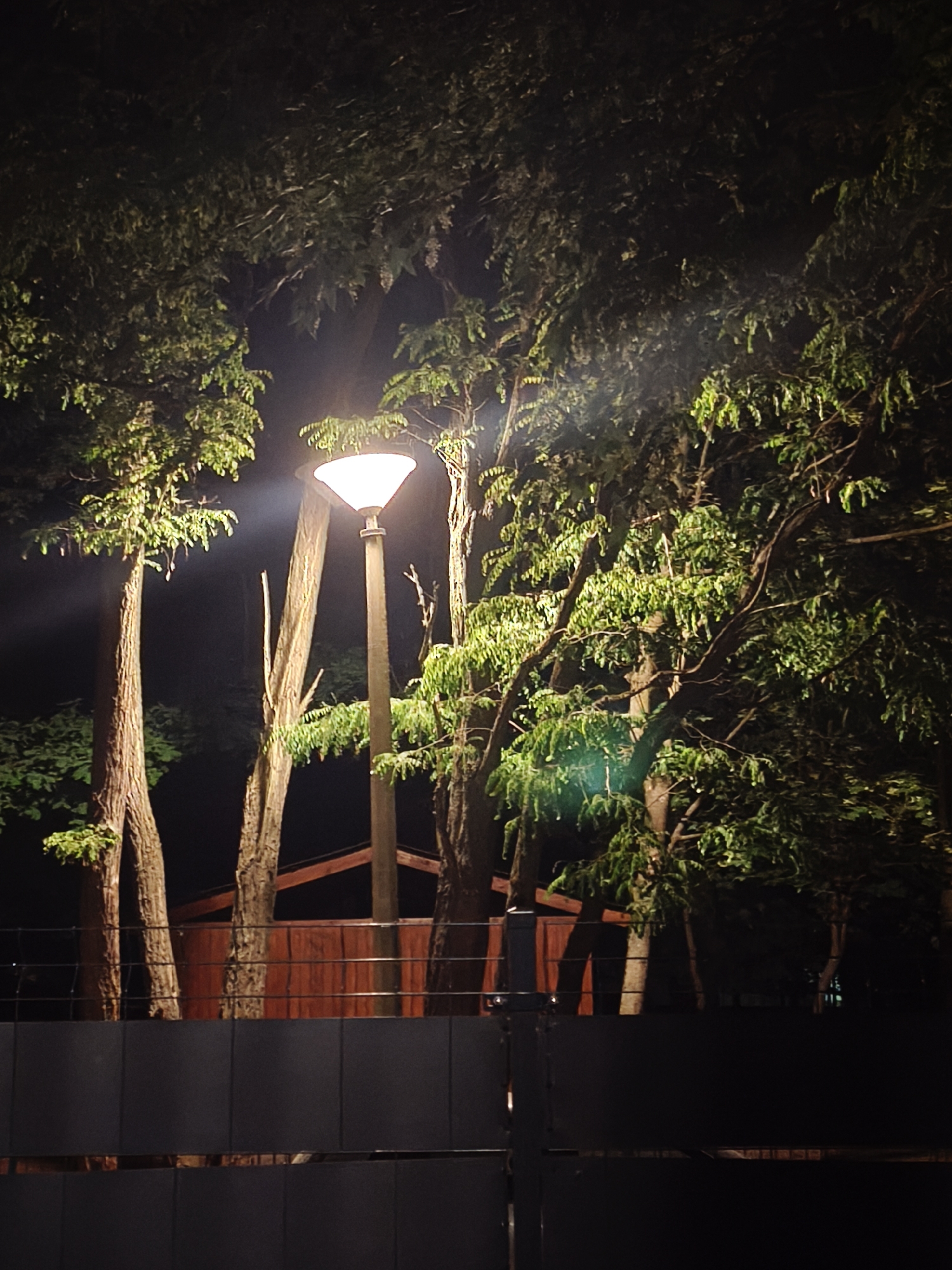 A nighttime scene in an unidentified city depicts a park or wooded area illuminated by a central lamppost. The lamppost, positioned in the center of the frame, emits a bright glow, casting light onto the surrounding trees and foliage. A fence or wall, possibly made of dark gray material, spans the foreground, partially obscuring the view. Behind the fence, a wooden structure with a peaked roof is visible amidst the trees. The overall atmosphere is dark, with the lamplight creating highlights and shadows throughout the scene. There is no indication of people present in the image.