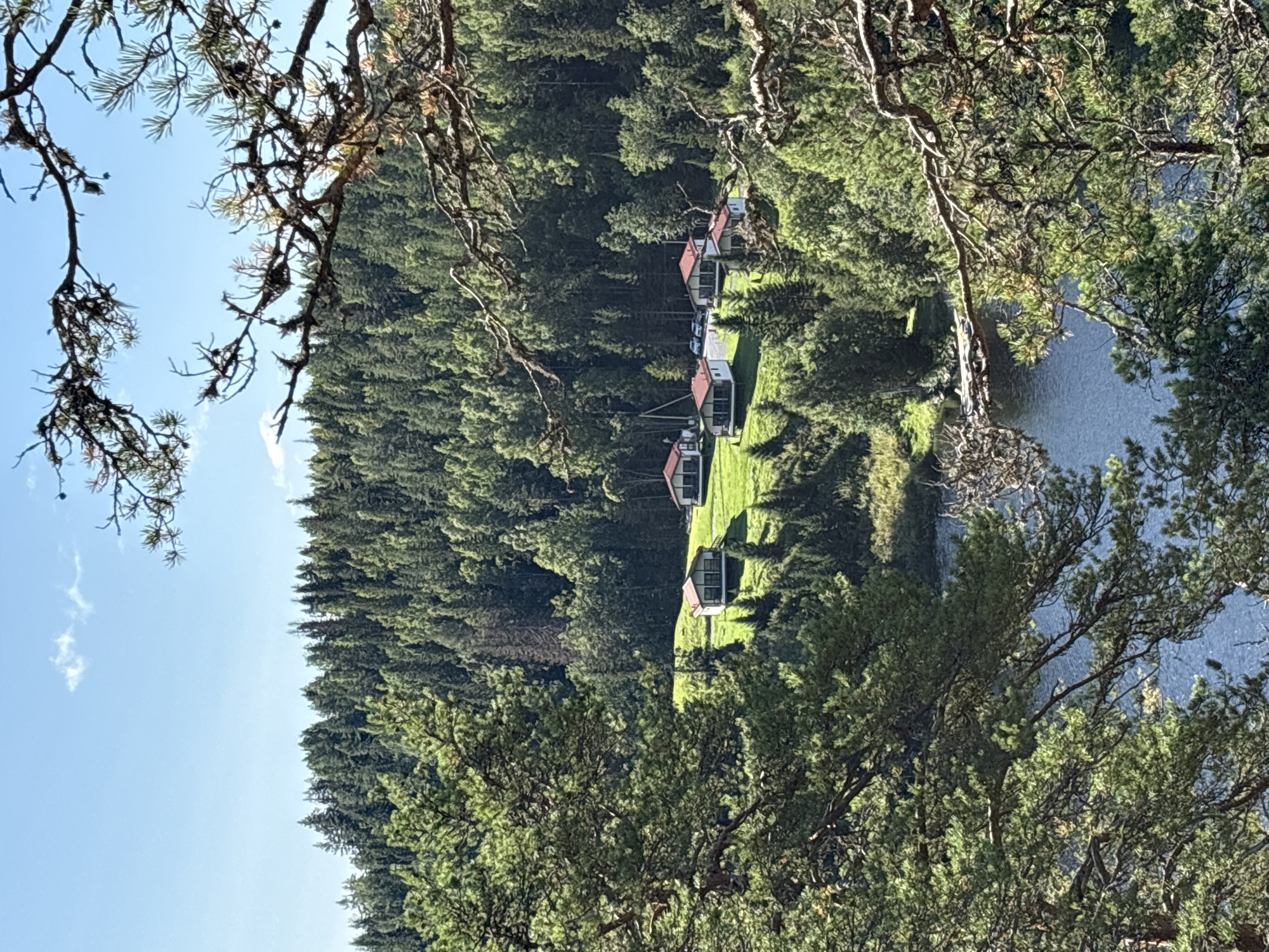 The image depicts a cluster of modern houses with red roofs nestled on a green hillside. The houses are situated amidst a dense, verdant forest, with a body of water visible in the foreground. The sky is clear blue with a few wispy clouds. The foreground is dominated by the branches of a large pine tree, framing the scene. The location is identified as Kir'yavalakhti, Russia. The overall scene is one of natural beauty and rural habitation.