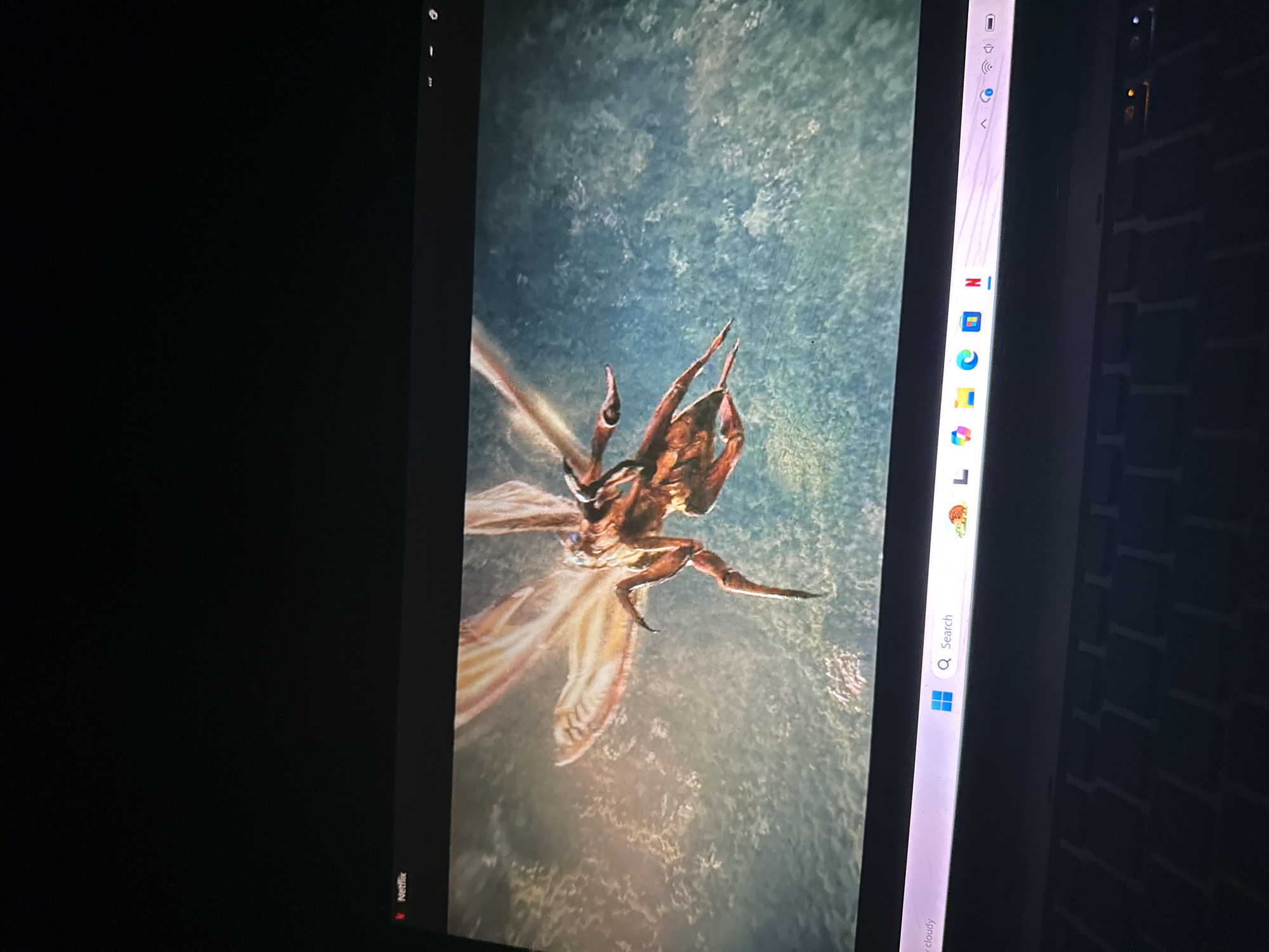 The image captures a computer screen displaying content from Netflix in a dimly lit room, suggesting nighttime or a dark interior. The screen shows a large, intricate creature, possibly insect-like or an alien species, in what appears to be an underwater or aerial environment. The creature has a segmented, brown and orange body with multiple spiny appendages or legs and broad, delicate, translucent wings or fins that trail behind it. Its head features prominent, pointed structures. The background is a mottled blue-green, creating a sense of depth and an organic, fluid setting.
On the left side of the screen, a black vertical bar indicates a video player interface, with a small, red Netflix logo and the word "Netflix" visible at the very bottom, rotated ninety degrees clockwise.
The right side of the screen displays a vertical taskbar, likely from a Windows operating system. Visible icons include Wi-Fi, volume, Bluetooth, a search icon, the Windows logo, Microsoft Edge, a multi-colored browser icon (possibly Chrome), and another Netflix icon. A search bar with the word "Search" is also visible. Beyond the screen, to the far right, a dark, textured surface, possibly a keyboard or part of the computer's chassis, is faintly visible. The main activity depicted is a person watching a video on Netflix on a computer. The only visible text includes "Netflix" and "Search."