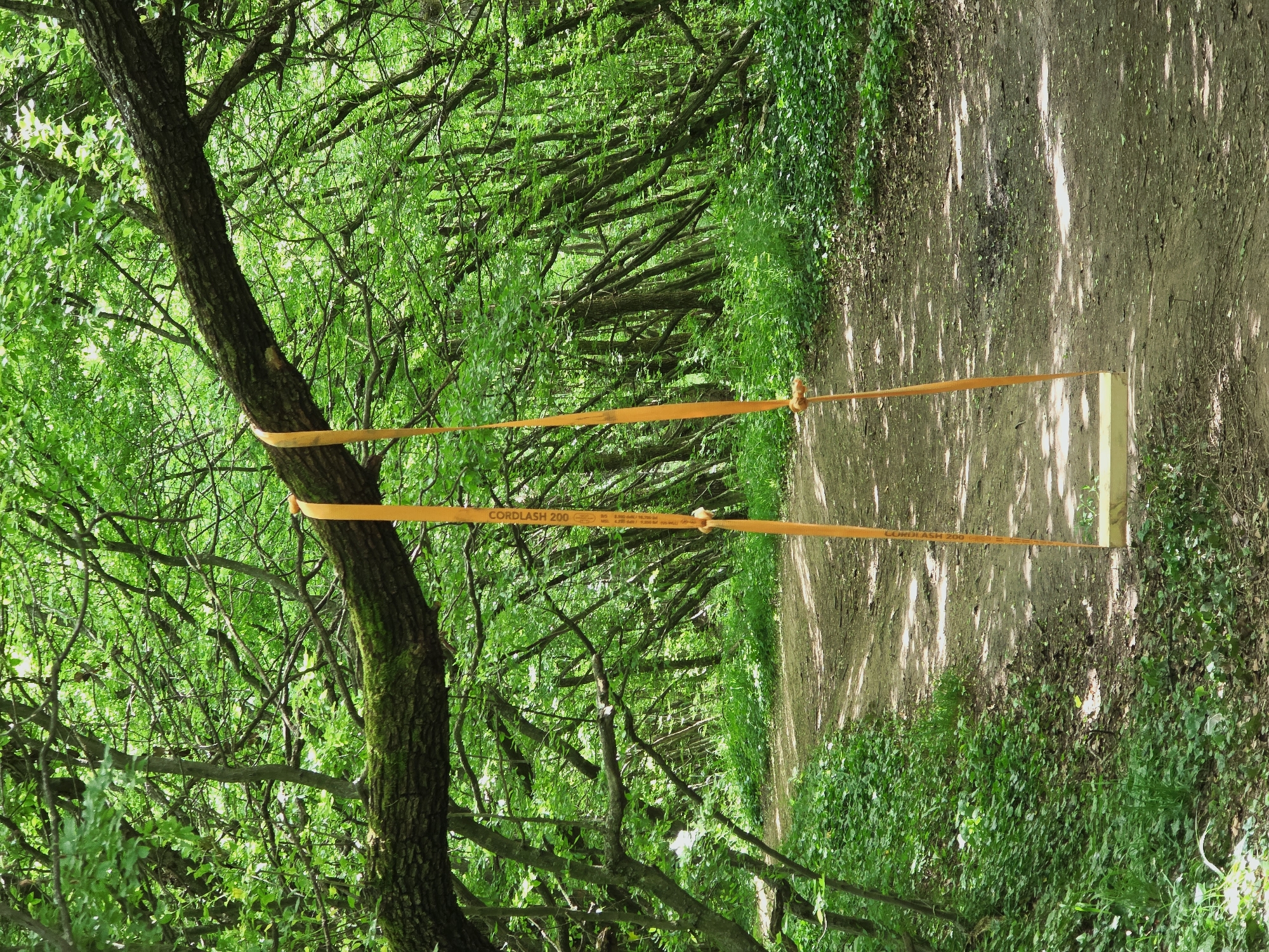 A horizontal view of a wooded path in Shumen, Bulgaria. A tree trunk on the left, covered in moss, has an orange strap wrapped around it and tied to a white post in the center-right, blocking the path. The strap has "CORDLASH 200" printed on it. Sunlight filters through the green canopy above. The path is dirt and narrow.