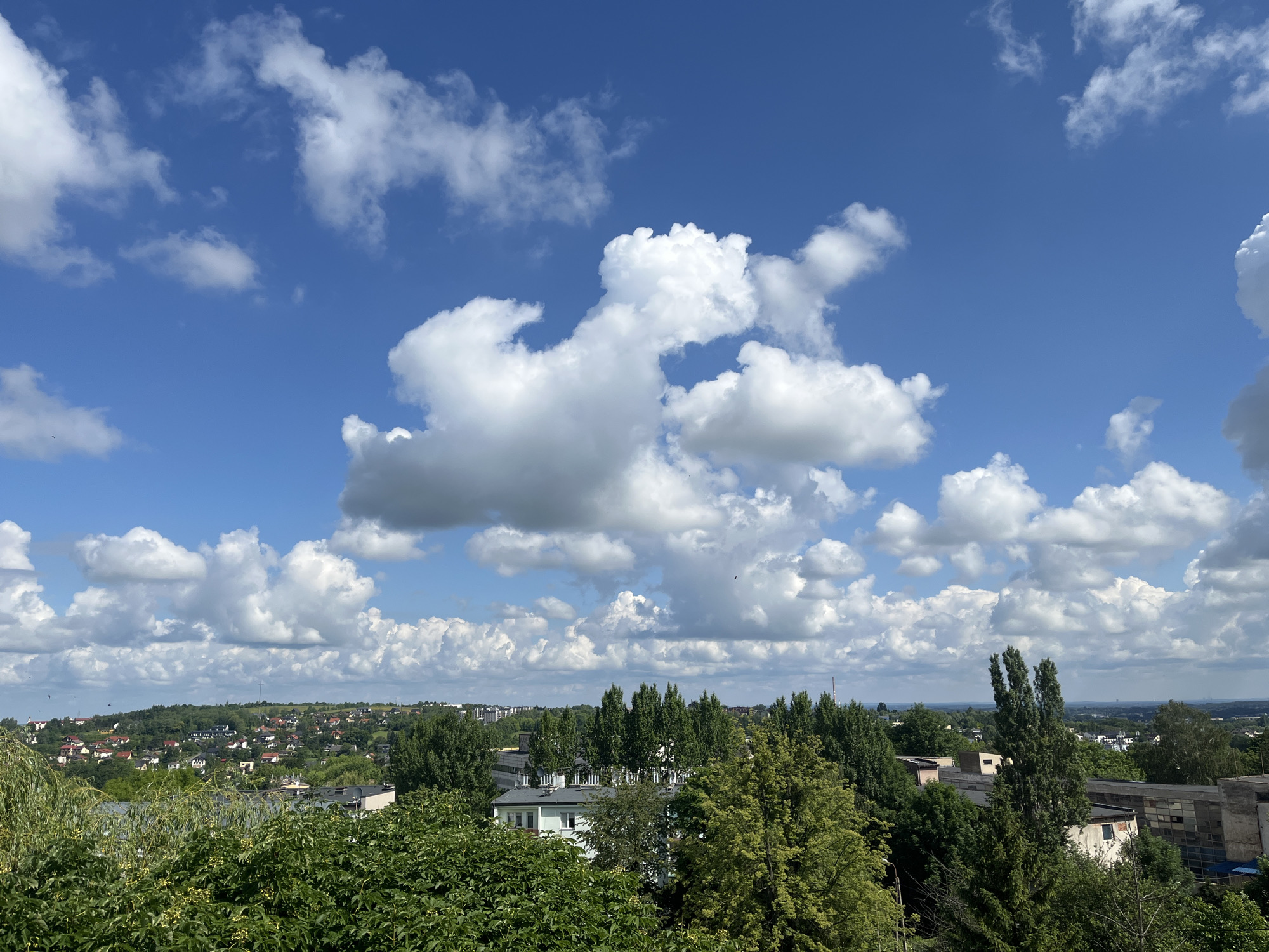 A wide-angle shot captures a suburban landscape under a partly cloudy blue sky. In the foreground, lush green foliage, possibly trees and bushes, partially obscures the view of buildings and a distant town. The middle ground reveals a dense cluster of trees, interspersed with residential buildings featuring white walls and gray roofs. Further in the distance, a hilly terrain is dotted with numerous houses, suggesting a moderately populated area. The sky is a vibrant blue, adorned with large, fluffy white cumulus clouds scattered across the frame. The overall impression is one of a pleasant, sunny day in a suburban environment.