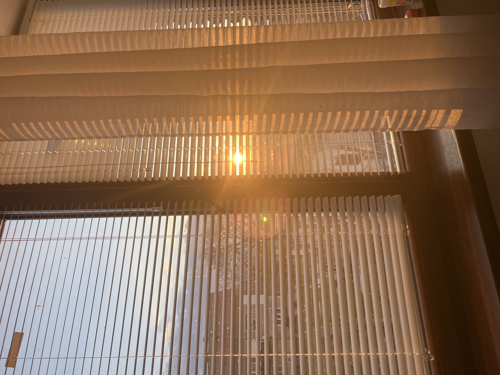 The image shows a view through a window with blinds, likely taken from inside a building. The blinds are partially open, allowing sunlight to stream through, creating bright beams and shadows. Outside the window, buildings and trees are visible. The location is unclear, and no specific details indicate that the image was taken in Lozen, Bulgaria. There are no people visible in the image. The environment is an interior space with a view to the outdoors.