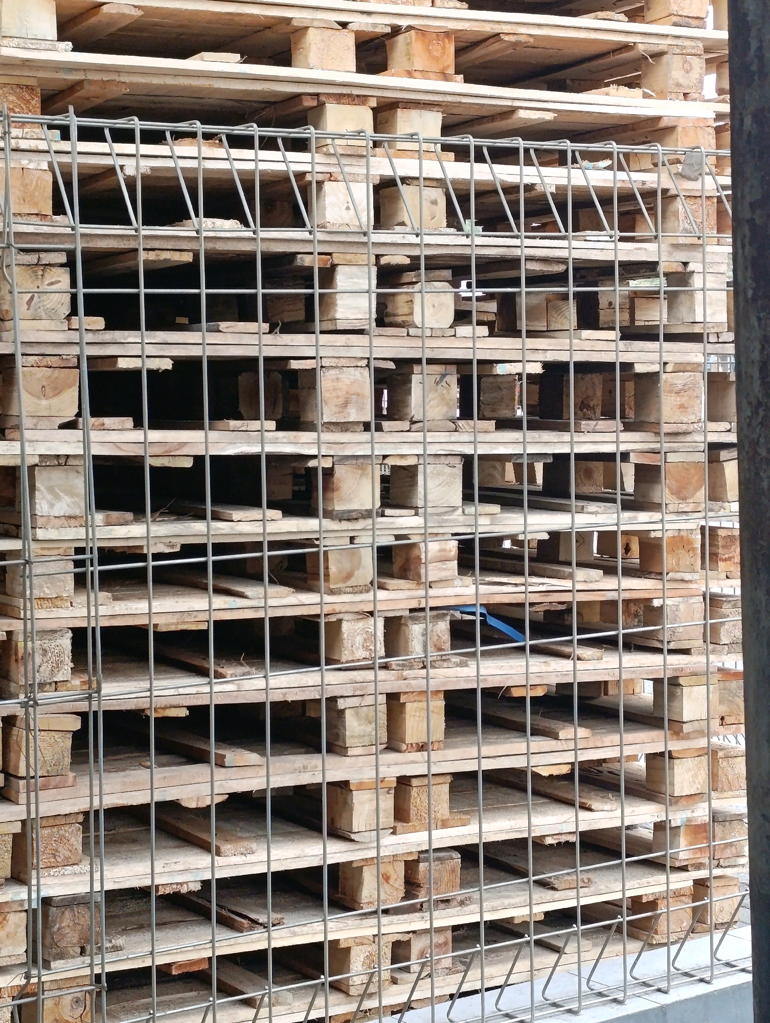 This is a full shot, eye-level, close-up photograph of a large stack of wooden pallets behind a wire mesh fence. The pallets are of varying sizes and states of repair, with some appearing new and others worn and weathered. They are stacked in multiple layers, creating a geometric pattern. The wire mesh fence is silver and has a diamond-like pattern of openings. The pallets are made of light-colored wood, with some showing darker grain patterns and occasional knots. The scene appears to be outdoors, possibly in a storage yard or warehouse area. The background is out of focus but suggests more pallets or structures. There is a blue piece of plastic or tape visible on one of the pallets. The photograph was taken in Karangsono, Indonesia.