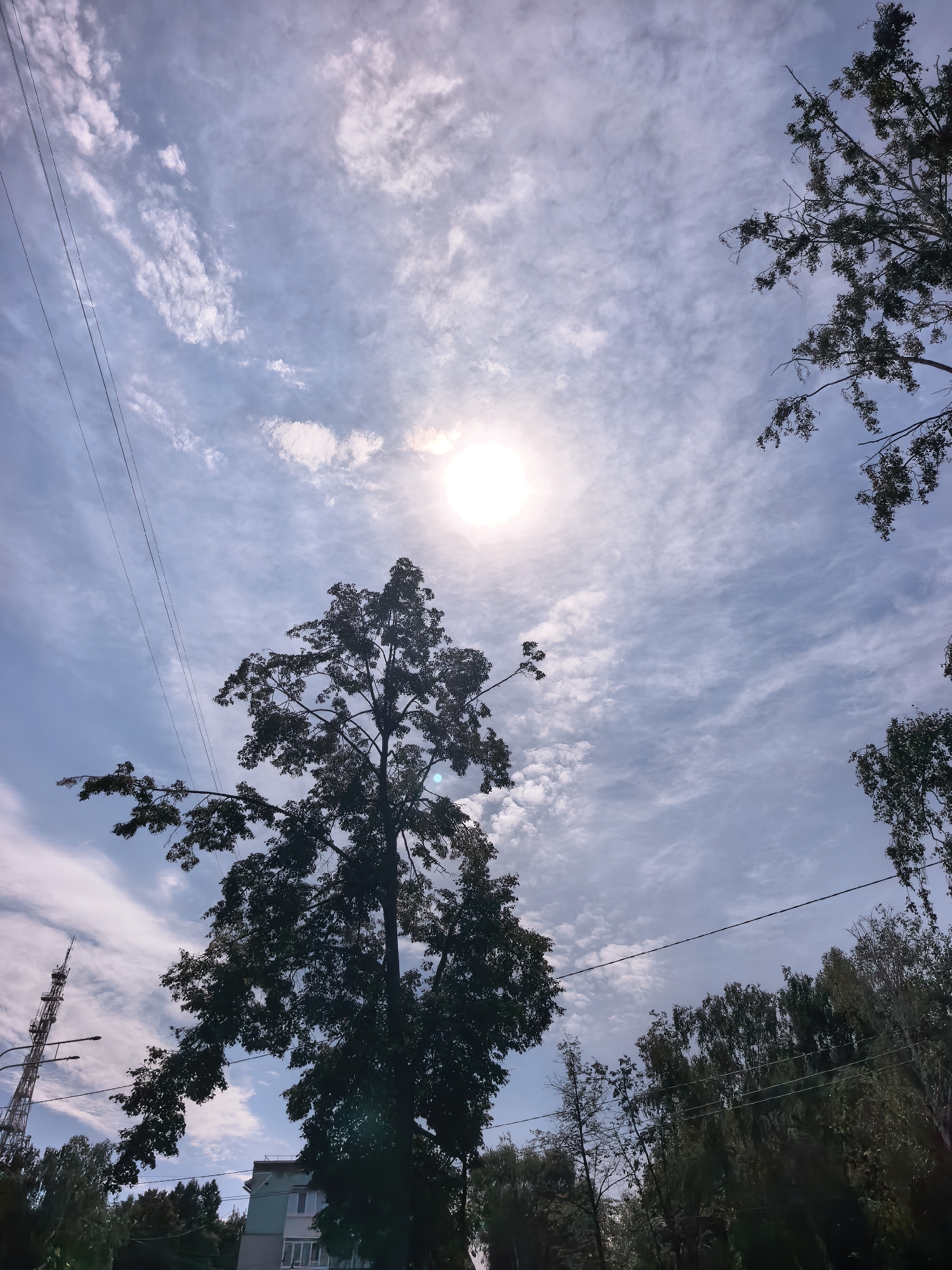 The image depicts a wide-angle view of the sky over Sterlitamak, Russia, on a sunny day with scattered clouds. The sun is prominently visible, shining brightly in the upper center of the frame, creating a slight lens flare effect. Silhouetted against the sky are the tops of several trees, their dark foliage contrasting with the lighter clouds. A prominent tree dominates the left and center of the image, its branches reaching upwards. In the background, on the left, a telecommunications tower and streetlights are visible. A section of a building, likely an apartment block, can be seen on the lower left, partially obscured by trees. Power lines crisscross the sky, adding a man-made element to the natural scenery. The overall impression is one of an urban landscape under a bright sky.