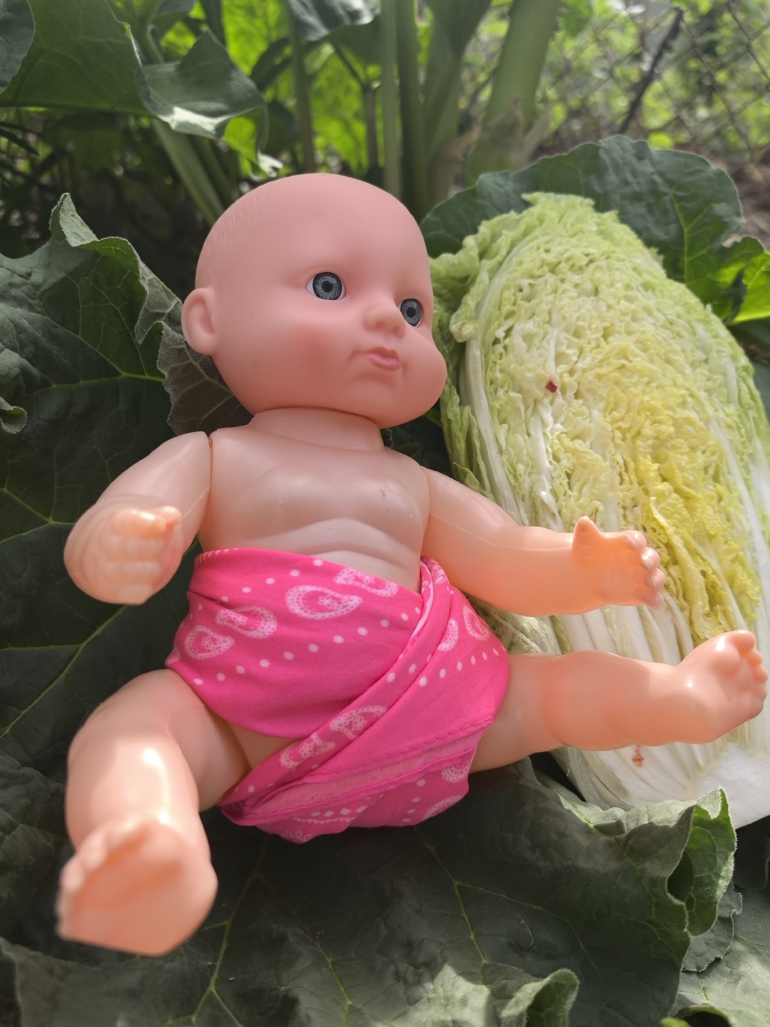 A plastic doll with a pink paisley print diaper sits on large green leaves beside a napa cabbage. The location is possibly Noviy, Russia.
