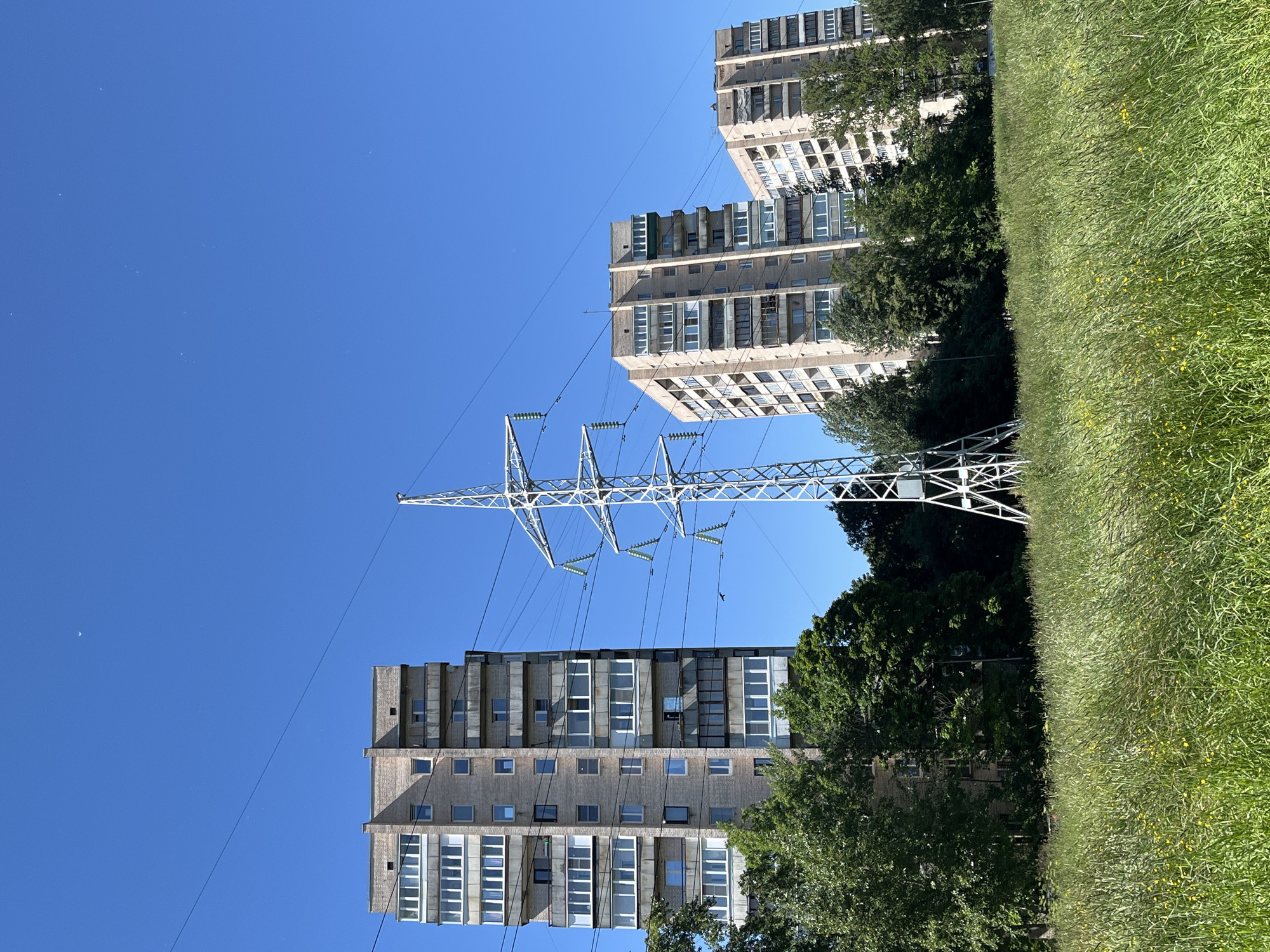 The image depicts a residential area in Saint Petersburg, Russia, characterized by tall, multi-story apartment buildings and a prominent electricity pylon situated in a grassy field. The sky is a clear, bright blue, suggesting a sunny day. The apartment buildings, constructed from light-colored brick, feature numerous balconies and windows, indicative of Soviet-era architecture common in many Russian cities. Lush green trees and tall grasses fill the foreground and surround the base of the buildings and pylon. The scene is devoid of people or any visible activity. The overall impression is one of urban infrastructure integrated with natural elements.