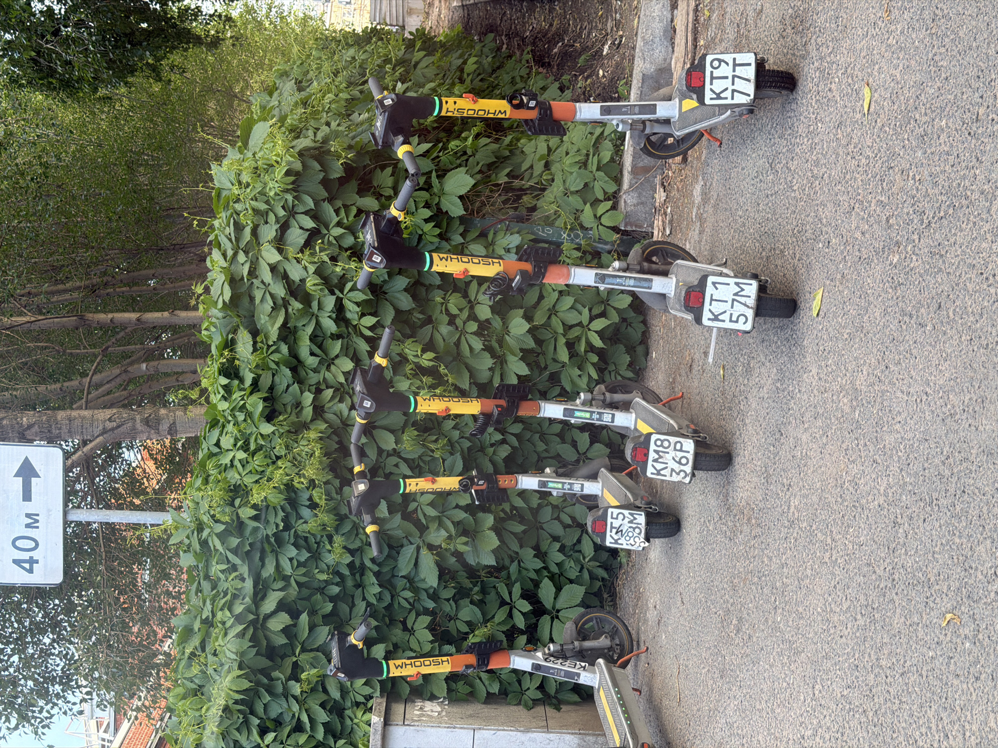 The image shows five "WHOOSH" brand electric scooters parked in a row next to a green vine-covered wall and a road. The scooters each have an orange handlebar stem and a license plate on the rear. The license plates read, from right to left, KT9 77T, KT1 57M, KM8 36P, K53 8M, and KE2 29. To the left of the scooters, a road sign with "40 m" and an arrow pointing straight ahead can be seen. Based on the license plates and the "WHOOSH" brand, the location is likely Moscow, Russia.