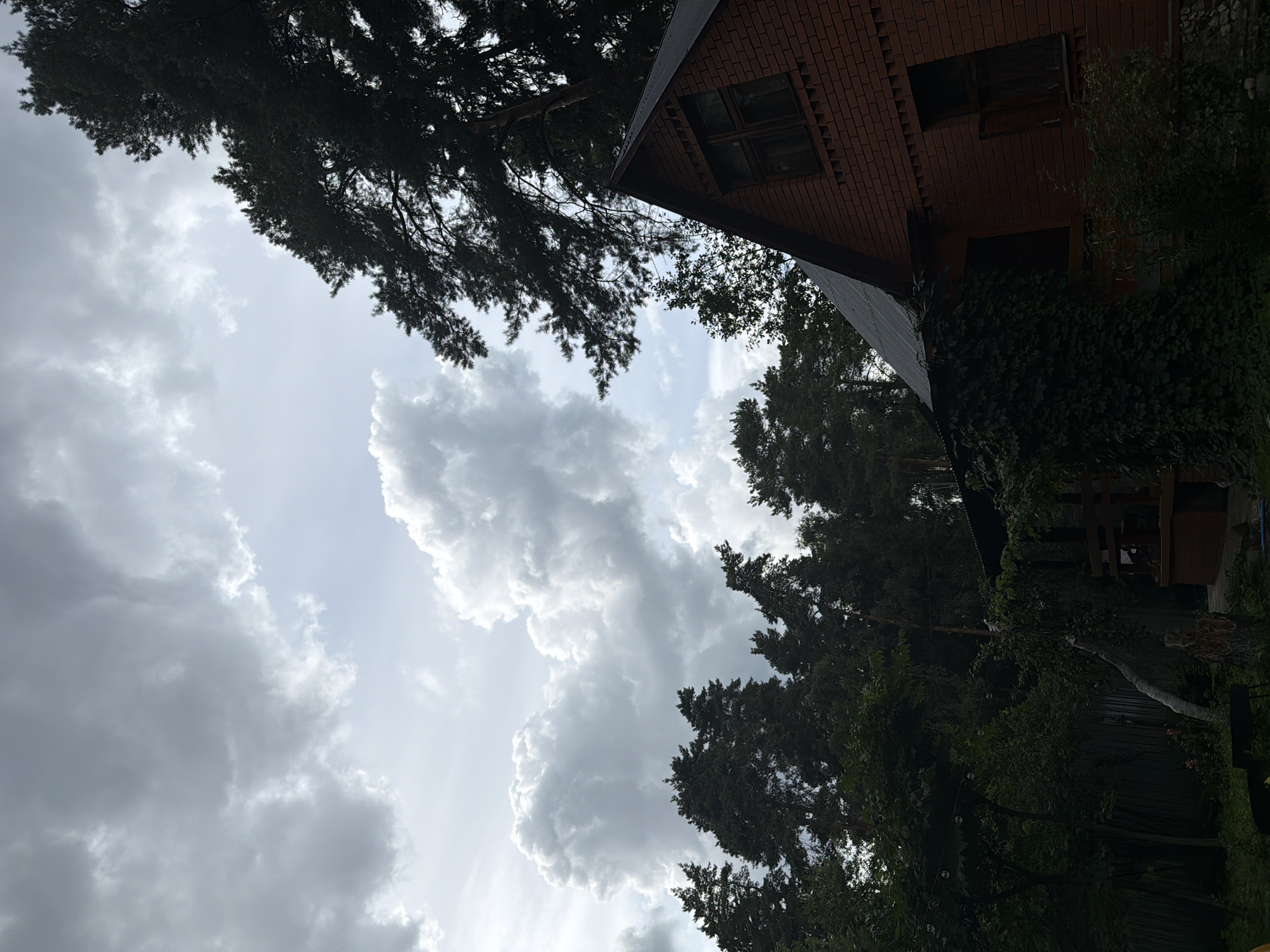 The image shows a brick house with a dark metal roof, partially covered in ivy, situated in a wooded area with tall pine trees. The sky is overcast with dramatic, large white clouds against a grey background. The scene appears to be a residential property in Udelnaya, Russia, likely a dacha or country home given the surrounding nature. There are no people or animals visible in the frame. The overall atmosphere is moody and somewhat somber due to the heavy cloud cover.