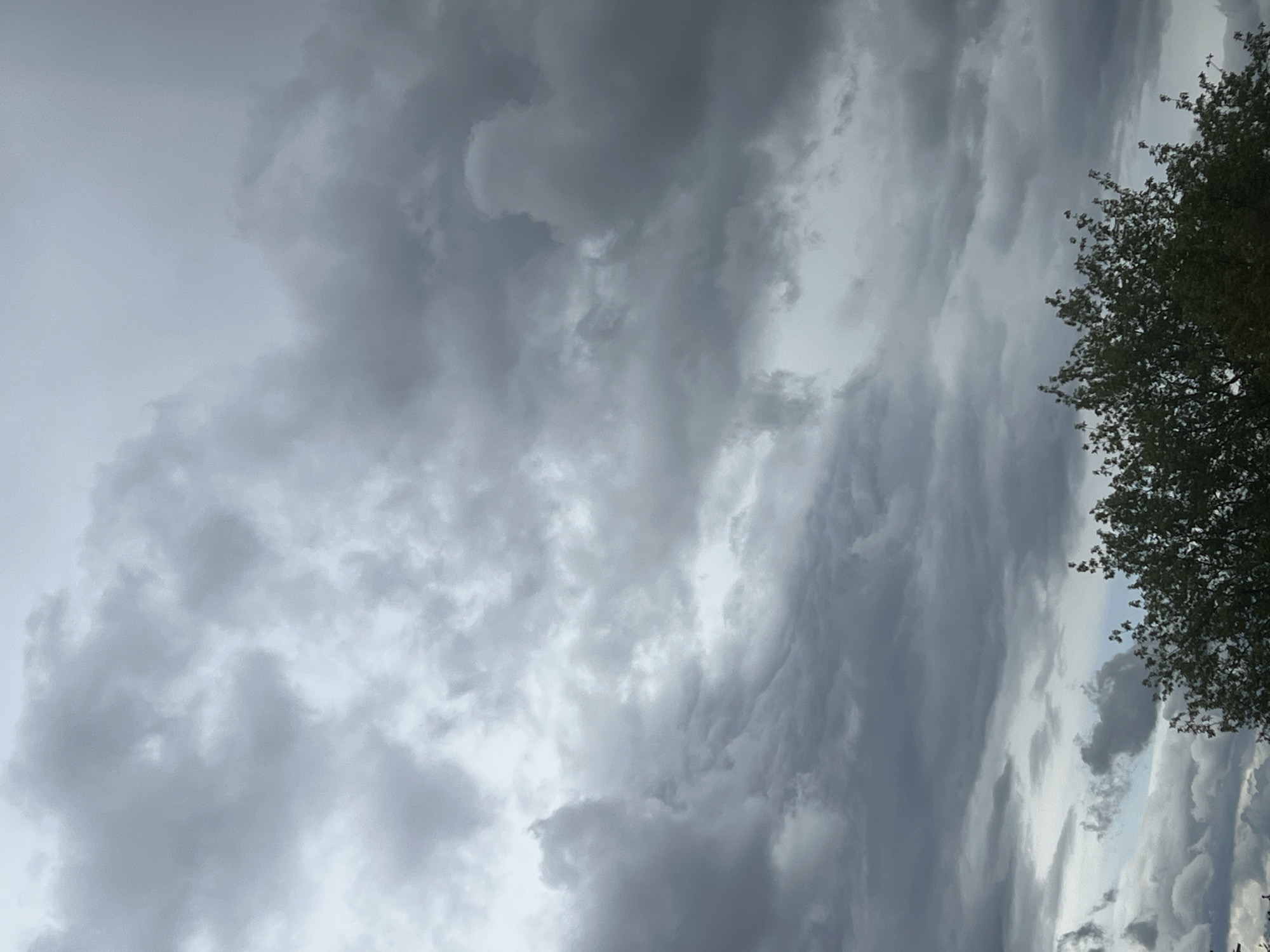 The image shows a cloudy sky with a tree in the foreground. The clouds are dark and heavy, suggesting an impending storm. The tree is lush and green, with its branches reaching towards the sky. The scene appears to be outdoors, possibly in a park or a residential area. There are no people or specific landmarks visible that would indicate the location in Warsaw, Poland.