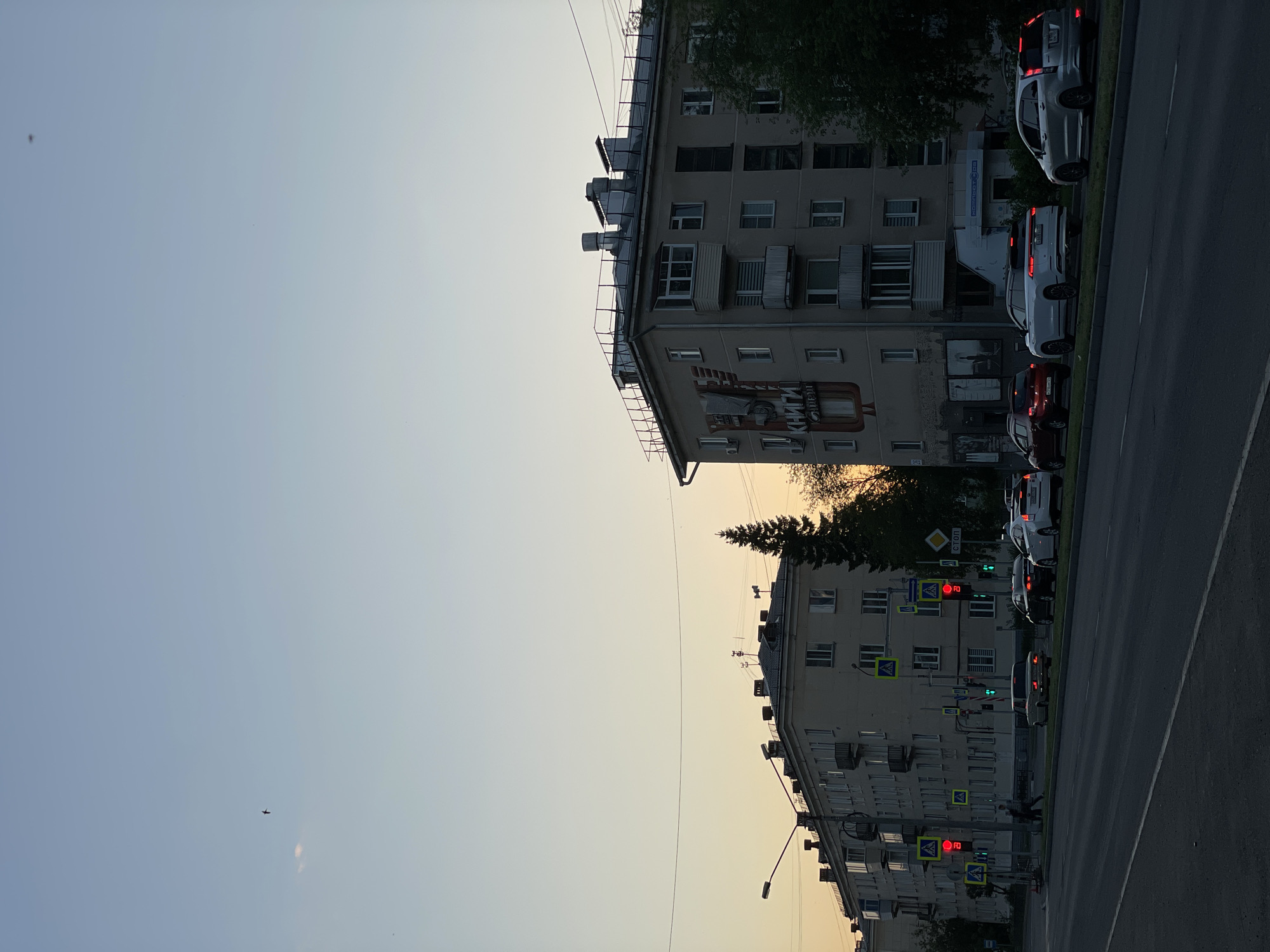 This image captures a tranquil urban street scene in Zheleznogorsk, Russia, illuminated by the soft, diffused light of either sunrise or sunset. The sky occupies a significant portion of the frame, displaying a gentle gradient from light blue at the top to a pale yellow-orange near the horizon. A small, dark silhouette, possibly a bird or a distant plane, is visible in the vast expanse of the sky.
Along the right side of the street, two multi-story buildings stand, featuring numerous windows and balconies. The building closest to the viewer showcases a large mural on its side, depicting a figure reading, with the Russian word "КНИГИ" (KNIGI), meaning "BOOKS," clearly visible. This building also has several large rooftop ventilation units. Further down, another similar building is partially obscured by lush green trees.
A paved road runs parallel to the buildings, with a line of parked cars along its edge, some displaying illuminated brake lights. The street is equipped with standard urban infrastructure, including overhead utility lines, a street light, and multiple traffic signals. Several traffic lights are visible, alternating between red and green, alongside various street signs. Notable signs include yellow pedestrian crossing indicators and a distinct red circular sign with the Russian word "СТОП" (STOP). A faint human figure can be seen near one of the pedestrian crossings. The scene portrays a typical, quiet moment in a residential or mixed-use urban area.